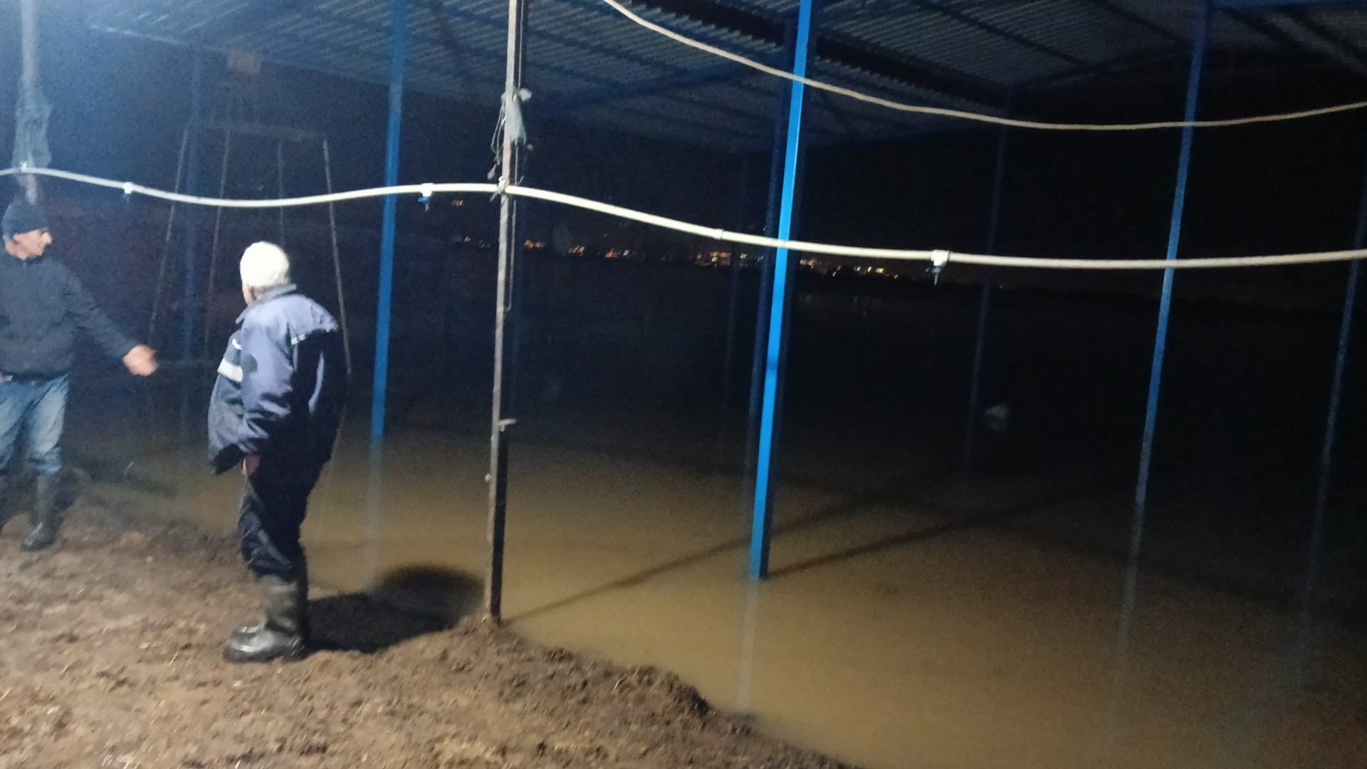 Koçarlı’da Hayvan Damlarını Su Bastı (2)