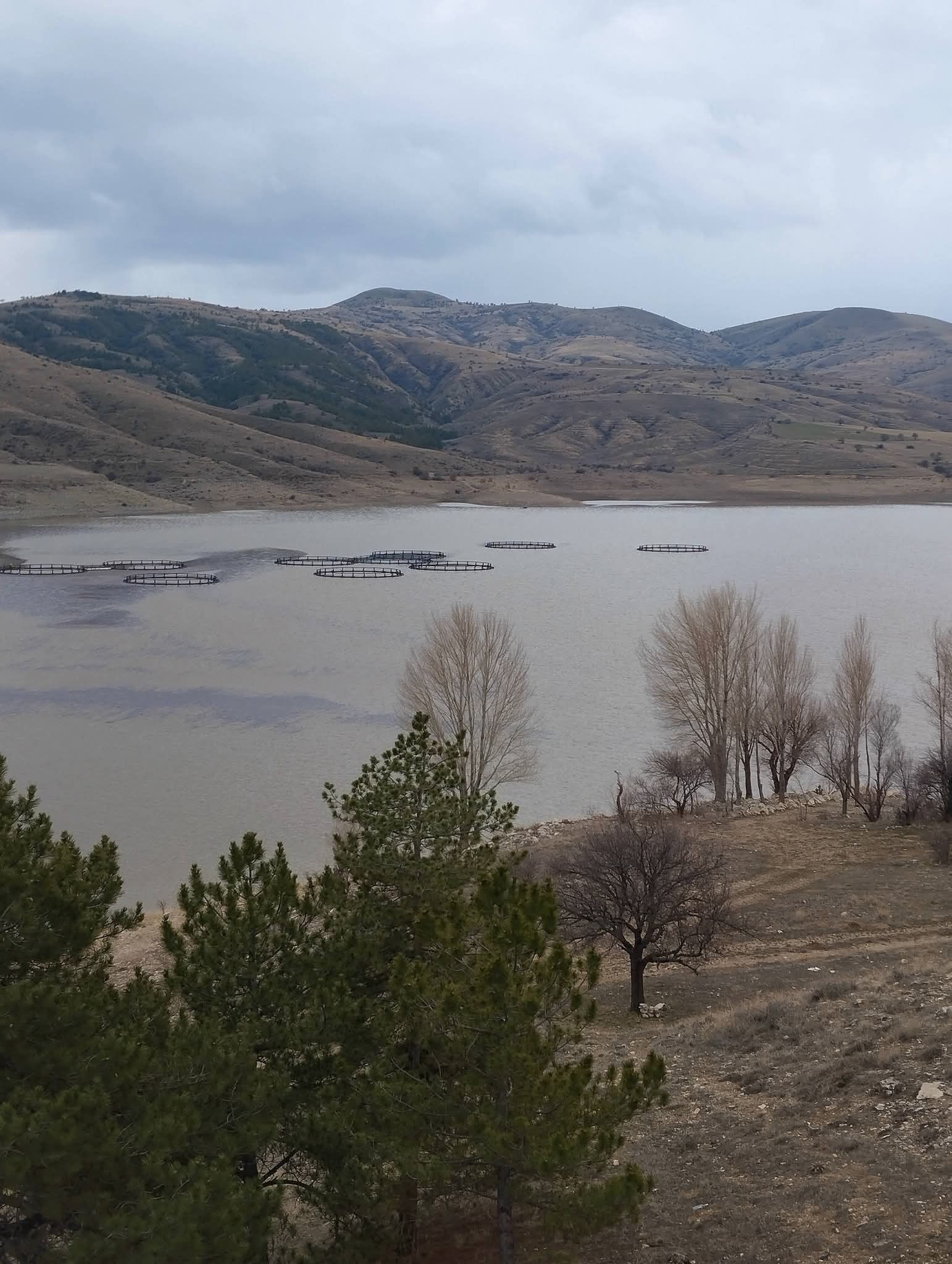 Kurumaya Yüz Tutan Baraj Dolmak Üzere (2)