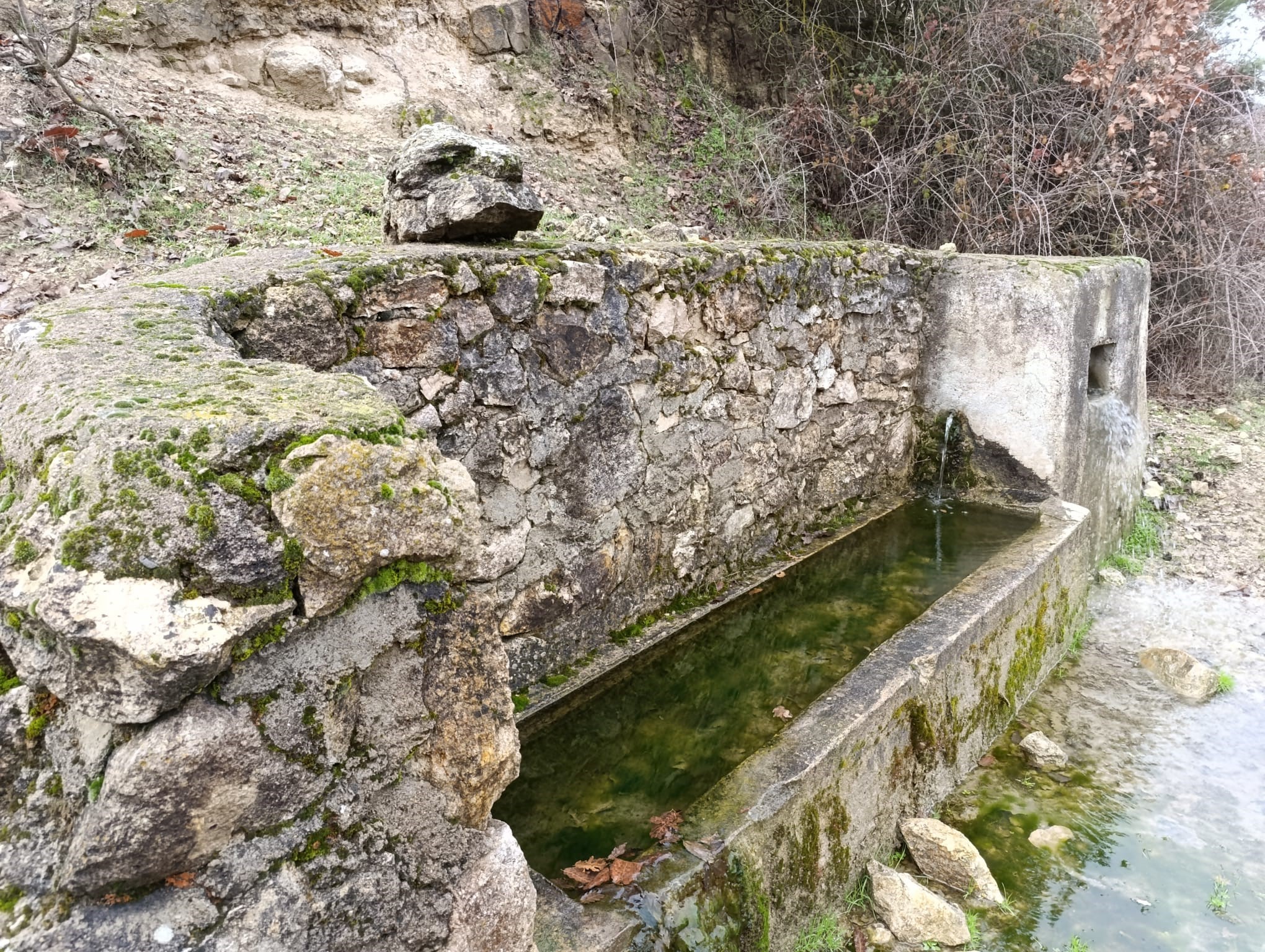 Kuruyan Çeşmeler Yeniden Hayat Buldu (3)