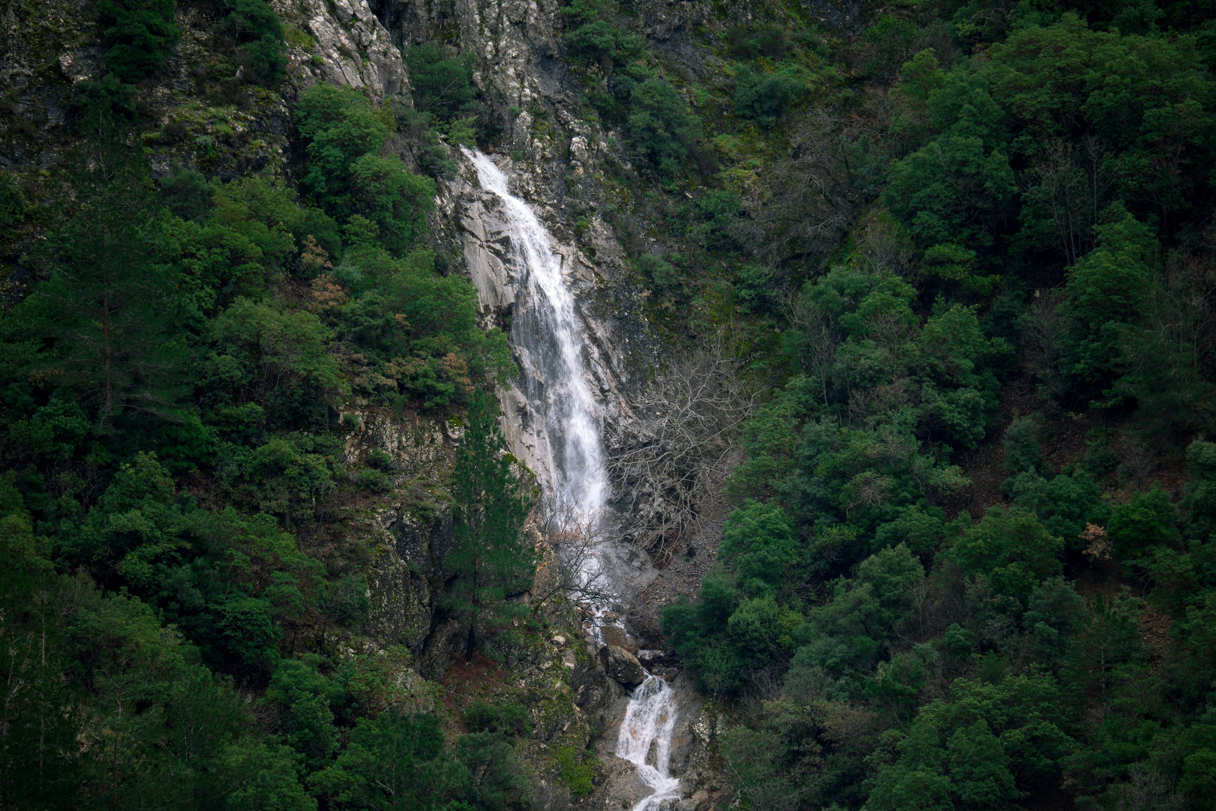 Kuruyan Şelale Yeniden Akmaya Başladı (4)