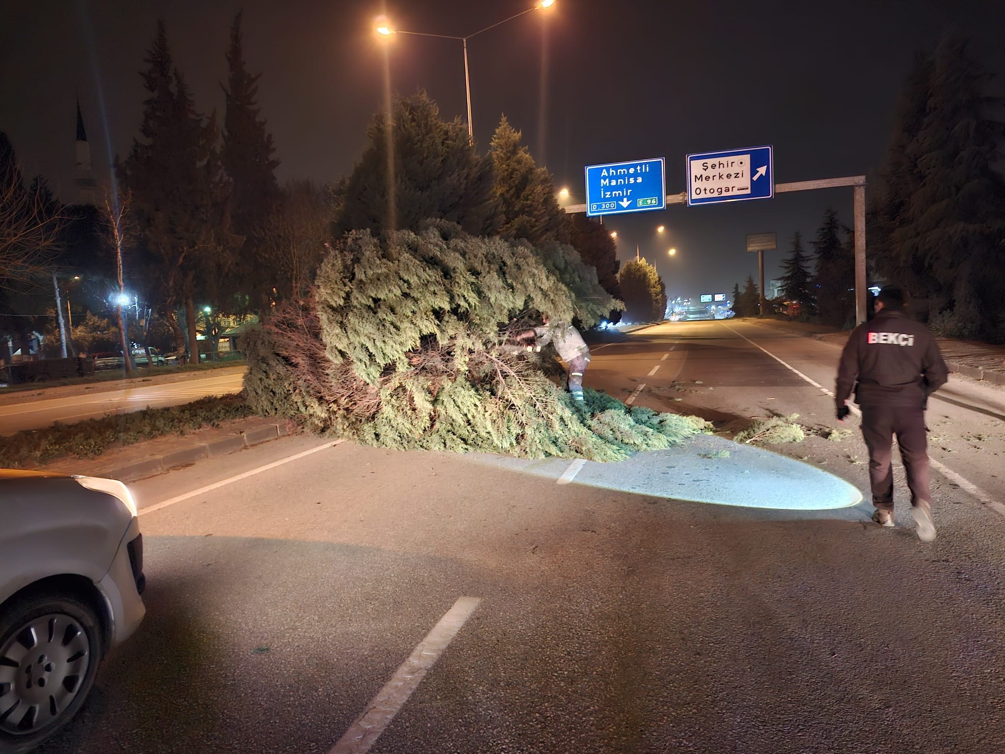 Minarenin Külahı Koptu, Çok Sayıda Ağaç Devrildi (4)