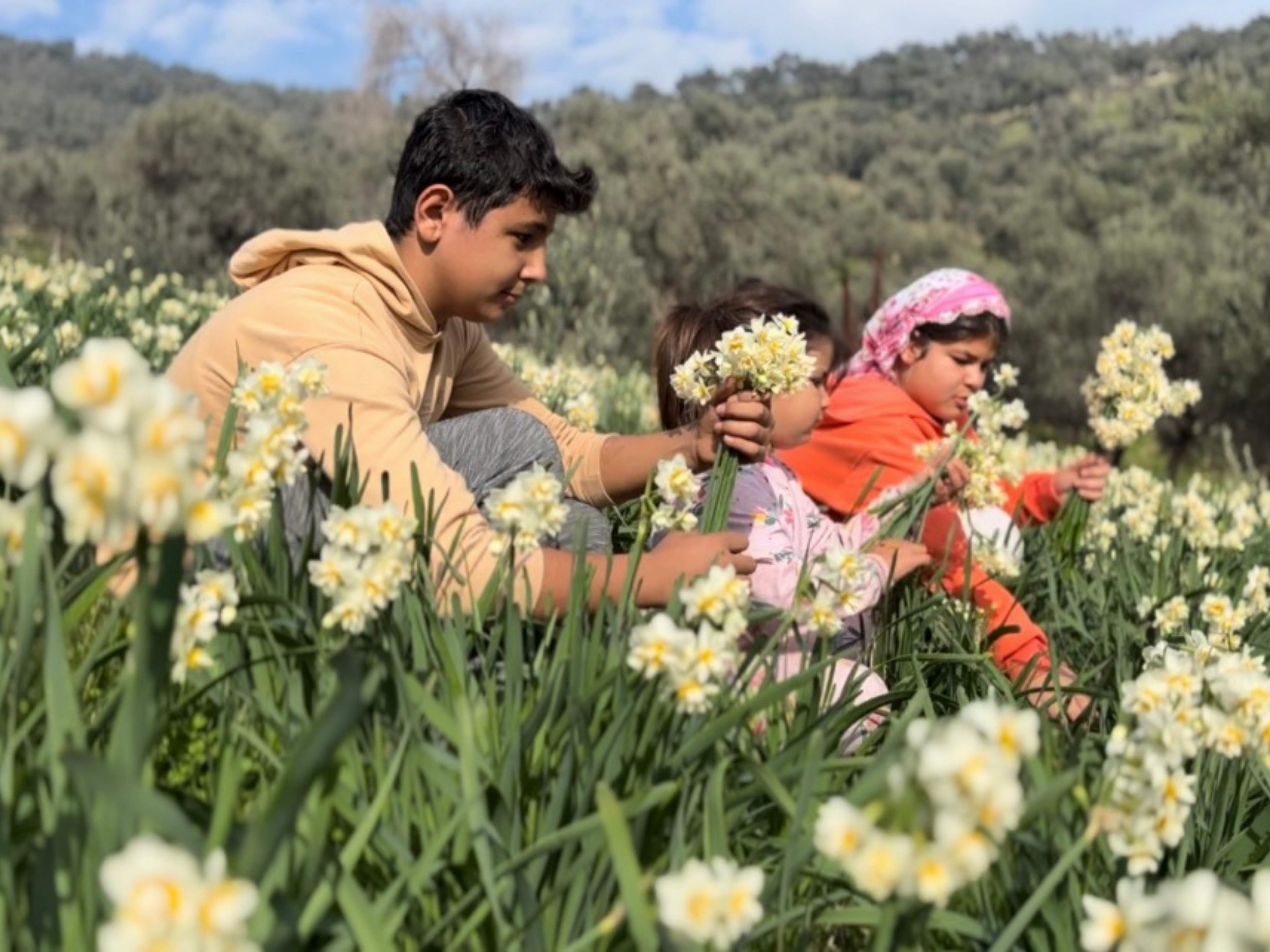 Mis Kokulu Nergisin Yeni Faydaları Ortaya Çıktı (2)