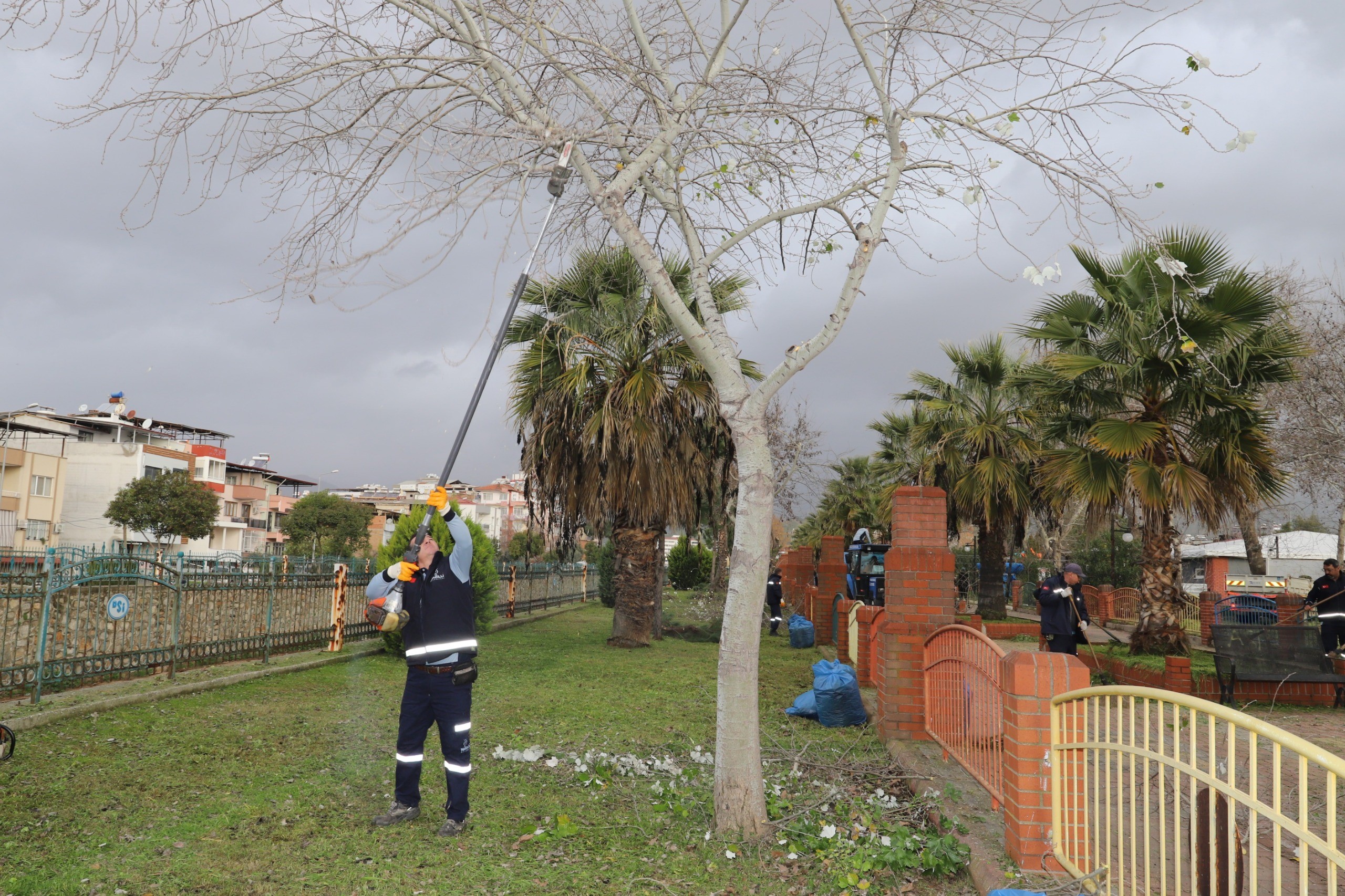 Nazilli Belediyesi Yürüyüş Yollarını Bakıma Aldı (4)