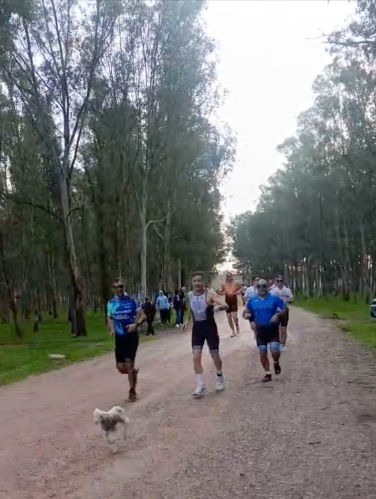 Parkura Giren Kuzu Renkli Görüntülere Neden Oldu (4)