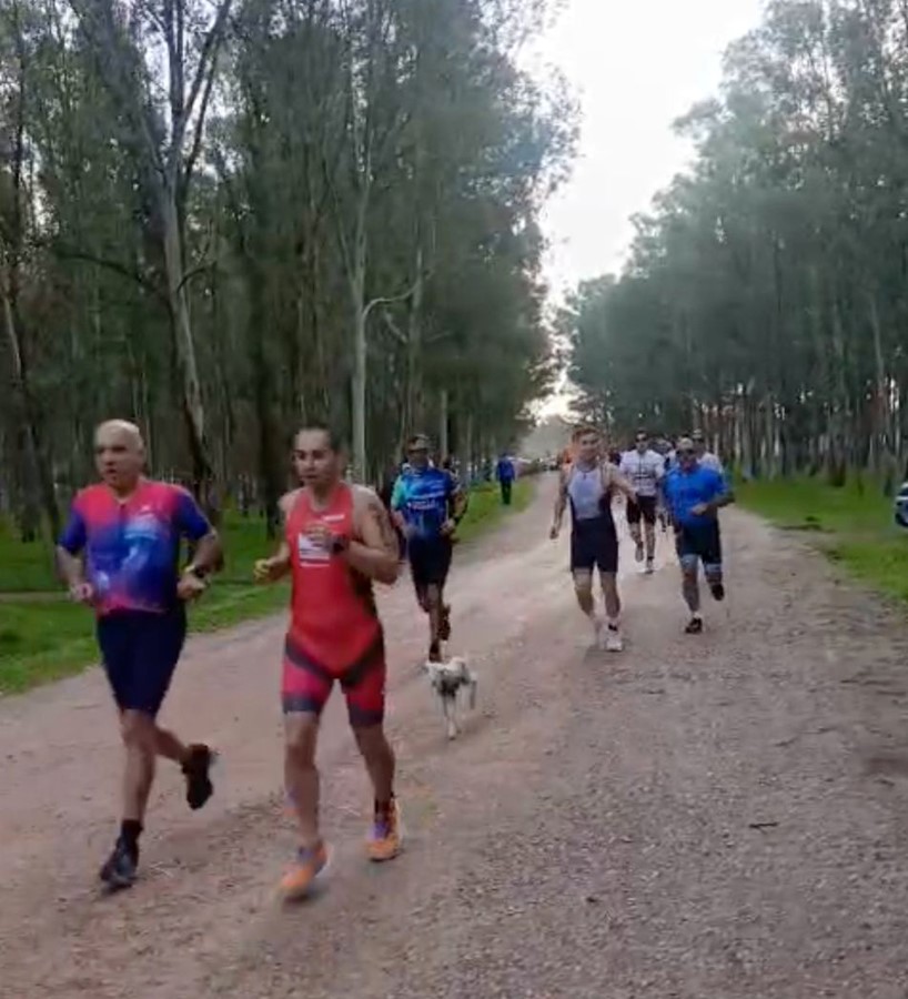 Parkura Giren Kuzu Renkli Görüntülere Neden Oldu (6)