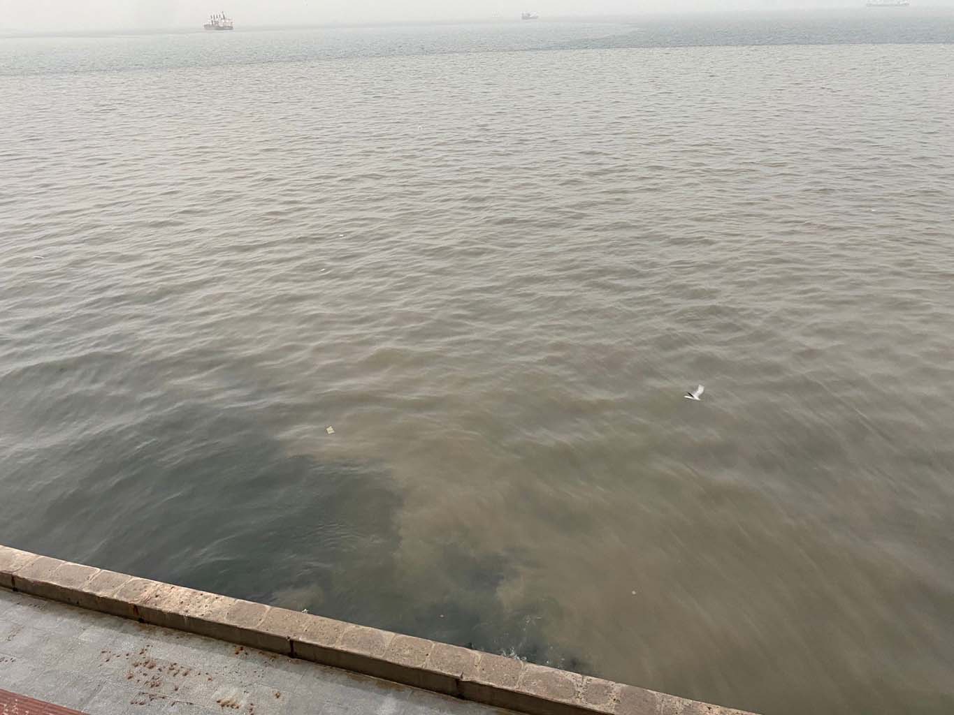 Sağanak Yağış Hayatı Olumsuz Etkiledi.. Caddeler Göle Döndü (5)-1