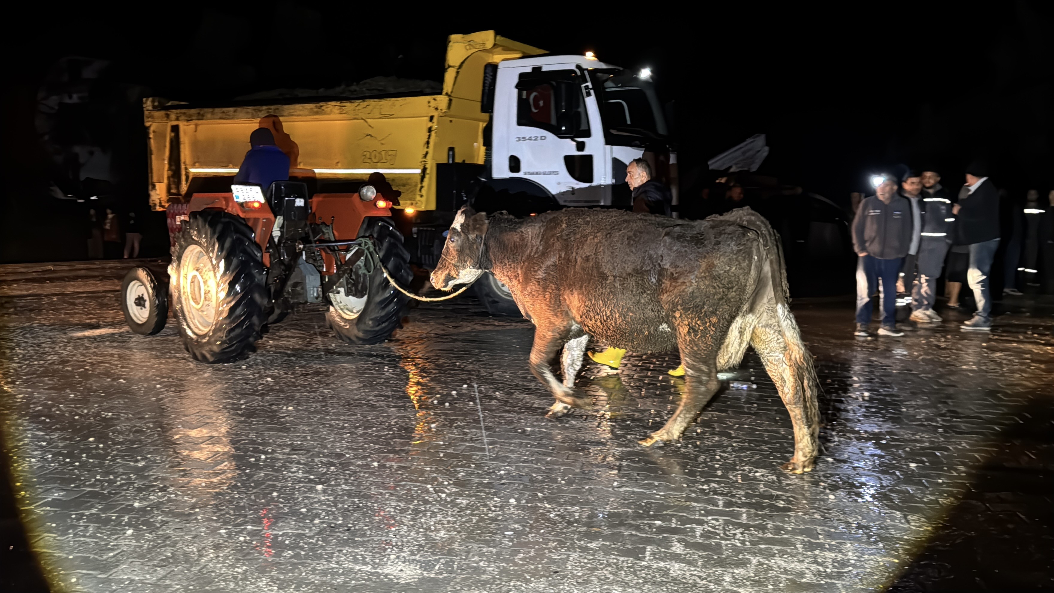 Sağanak Yağış Nedeniyle Evlerinden Oldular (3)