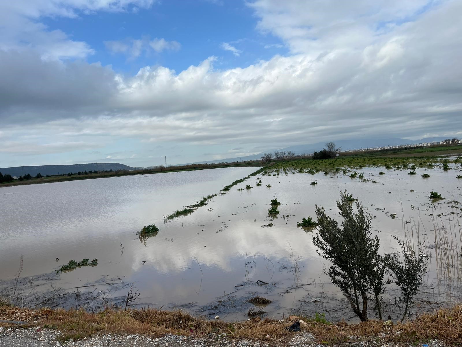 Sağanak Yağış Sonrası Tarlalar, Evler Sular Altında Kaldı (5)