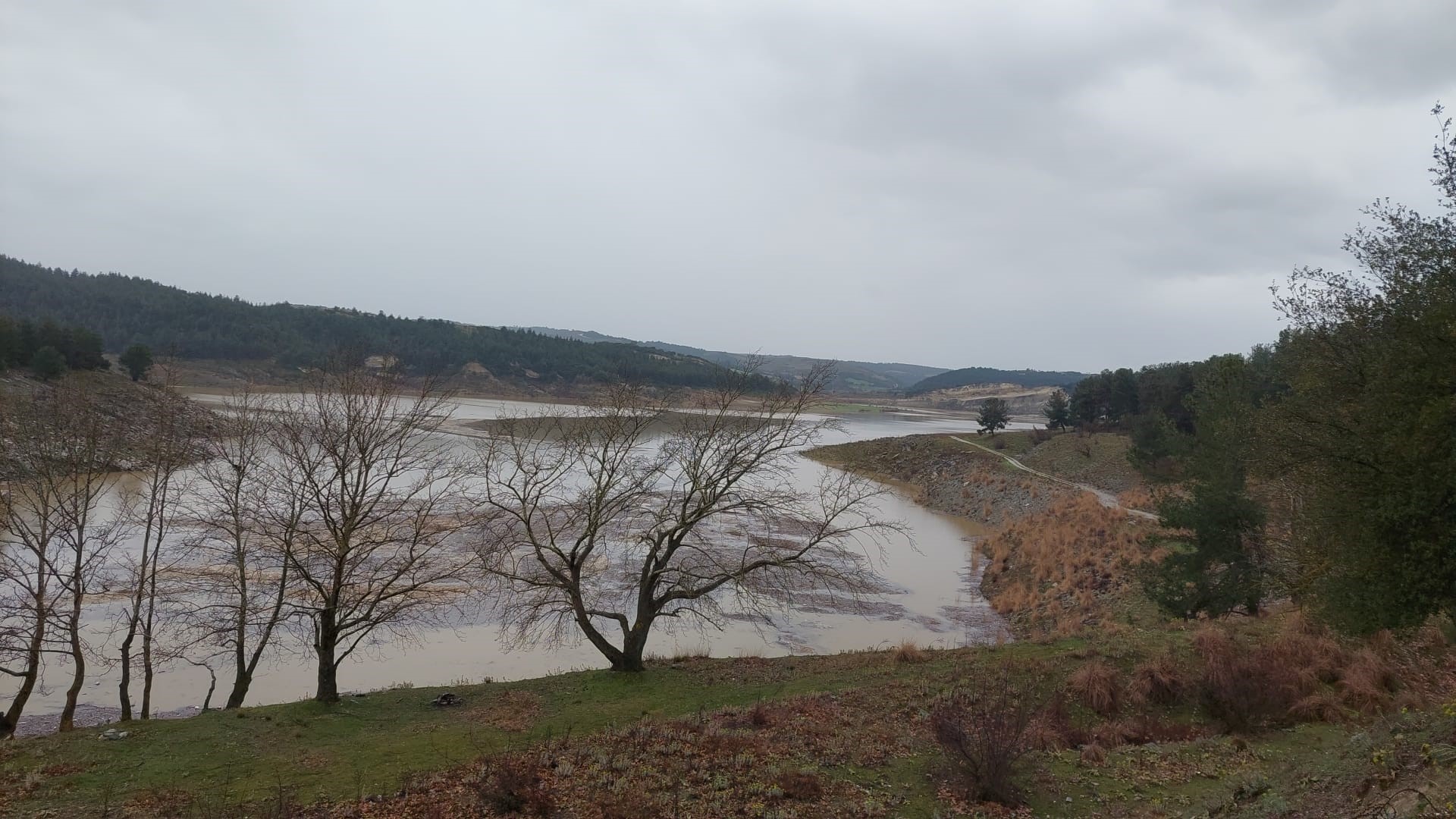 Sarıgöl Ovası (2)