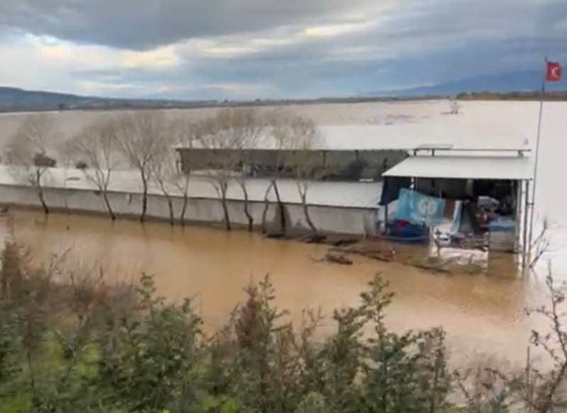 Sel Sularının Ortasındaki Köpekler Yürek Burktu (2)