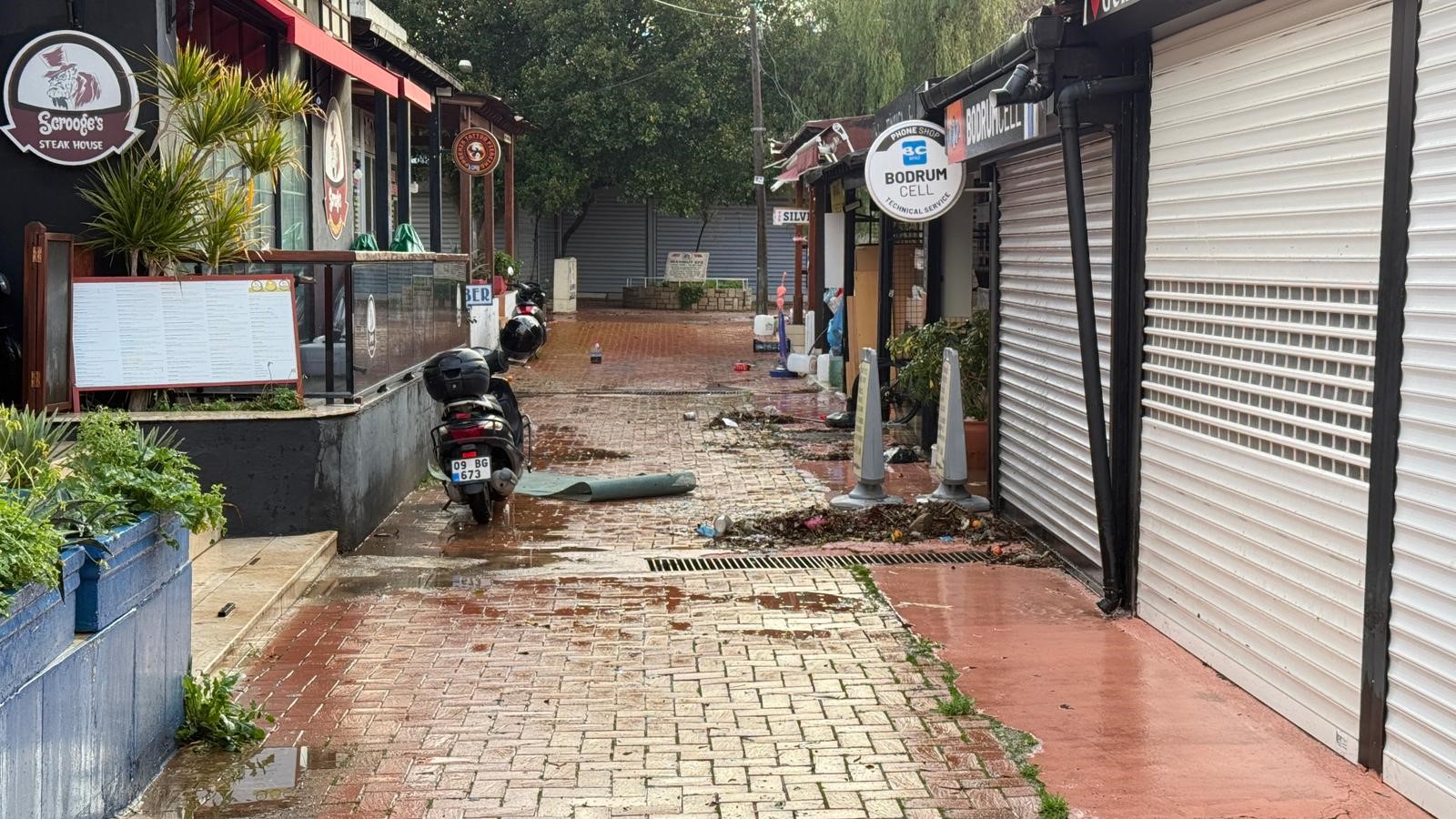 Selin Tablosu Gün Ağarınca Ortaya Çıktı (5)