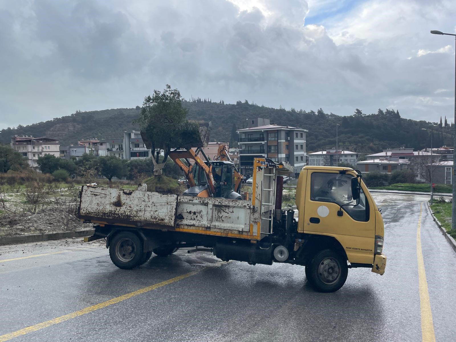Söke’de Dağdan Kopan Zeytin Ağacı Yolun Ortasına Geldi (4)