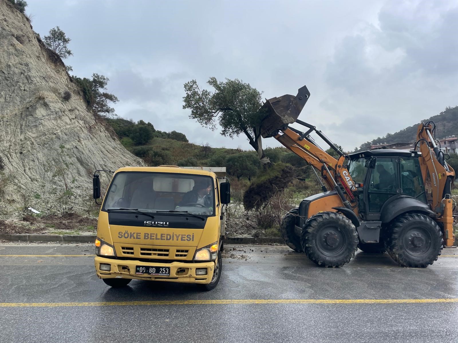 Söke’de Dağdan Kopan Zeytin Ağacı Yolun Ortasına Geldi (5)