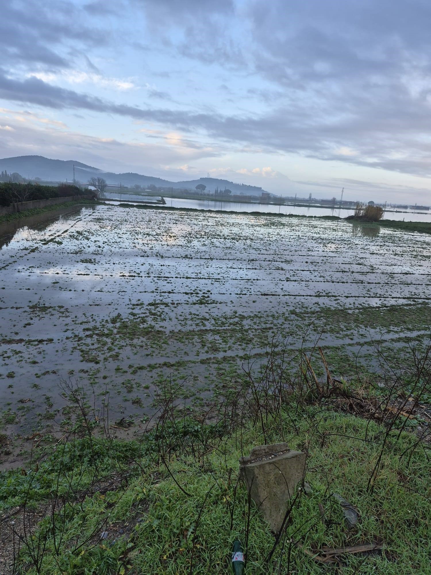 Söke’de Tarım Alanlarını Yağış Vurdu (3)
