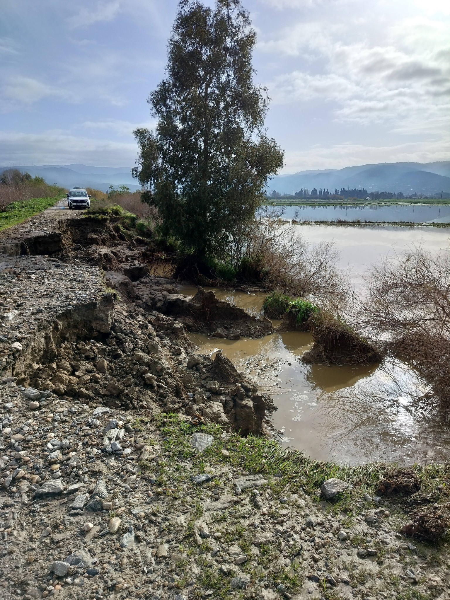 Söke’de Tarım Alanlarını Yağış Vurdu (5)