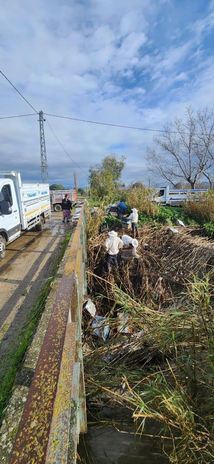 Söke’de Tarım Alanlarını Yağış Vurdu (7)