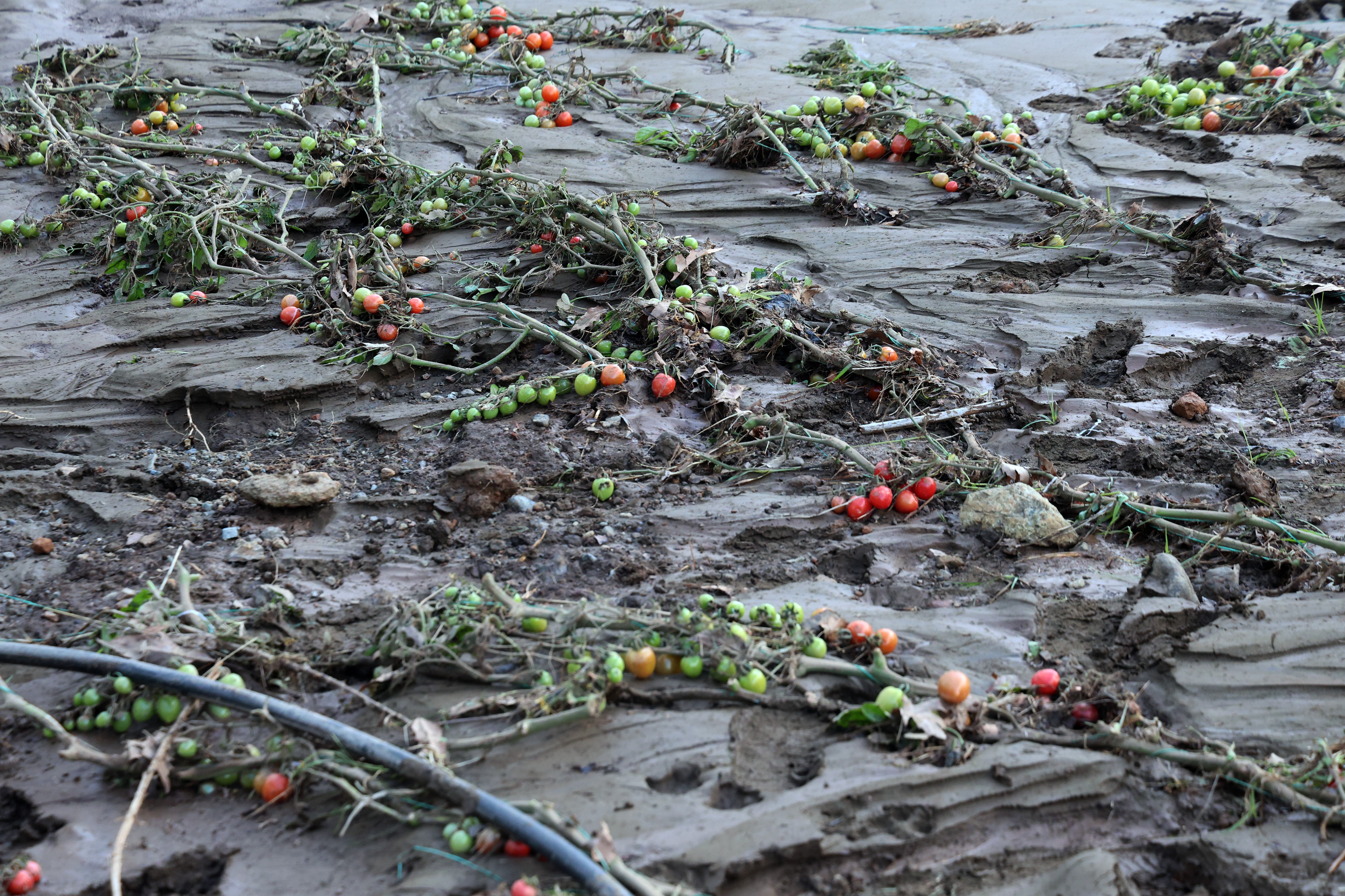 Tüm Birikimlerini 1 Saatte Kaybettiler (4)