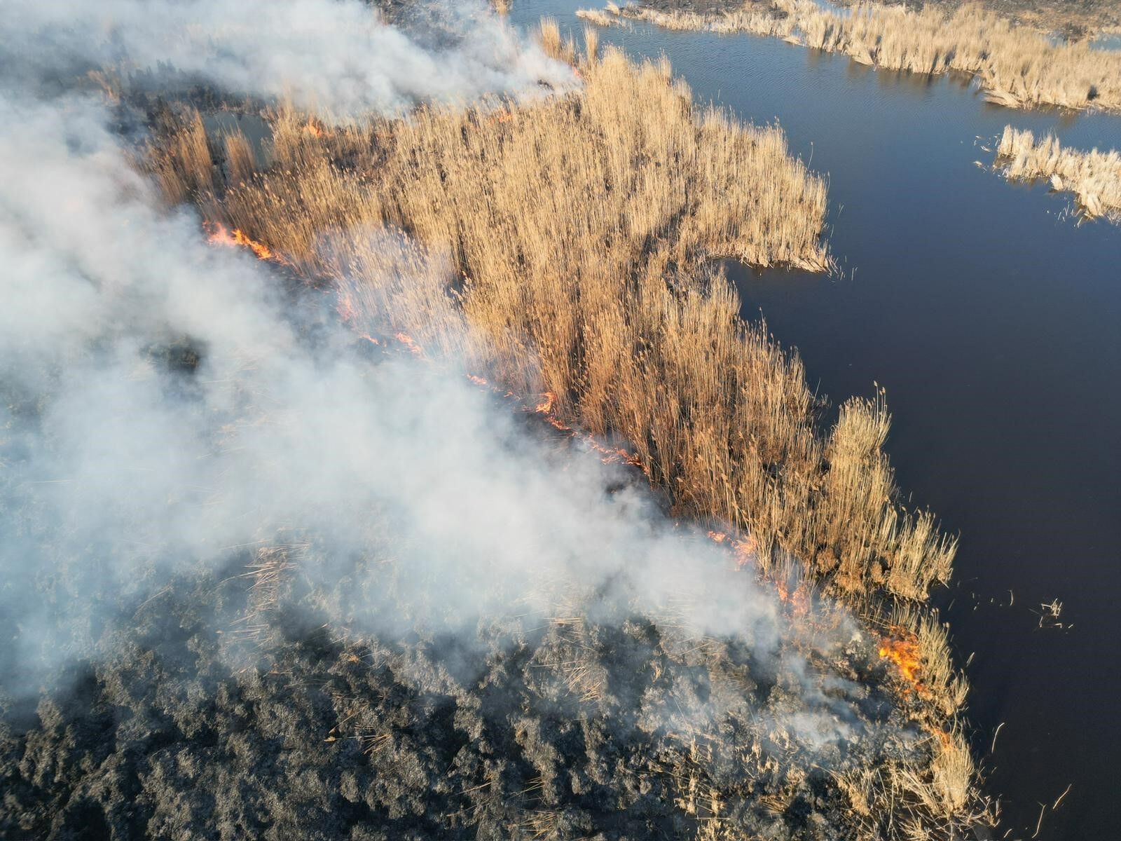 1 Hektarlık Alan Küle Döndü (3)