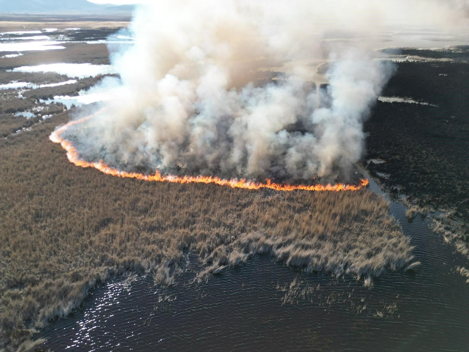 1 Hektarlık Alan Küle Döndü (4)