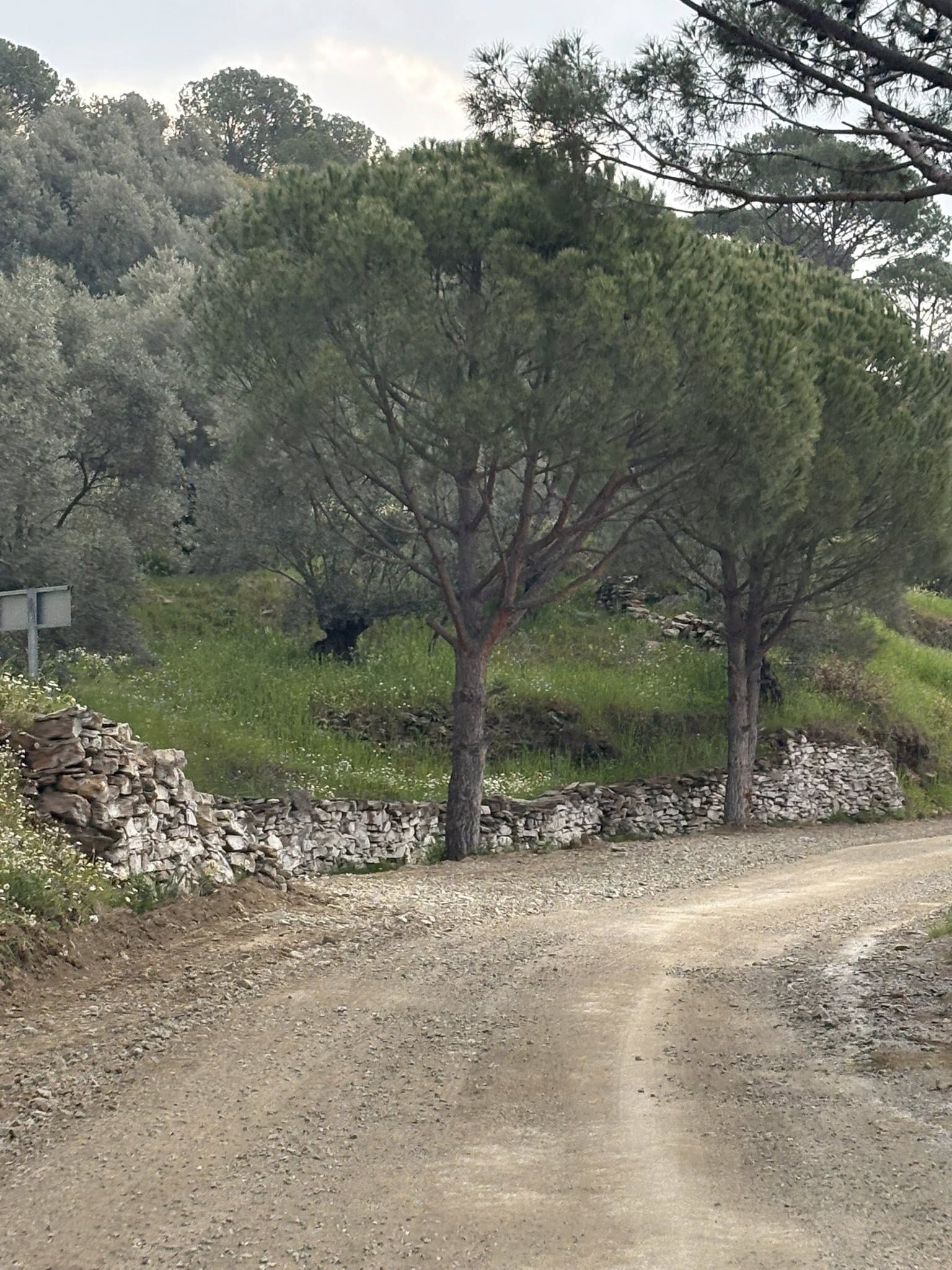 Aydın Büyükşehir Çalışıyor, Koçarlı’da 5 Bin Metrelik Hat Tamamlanıyor (4)