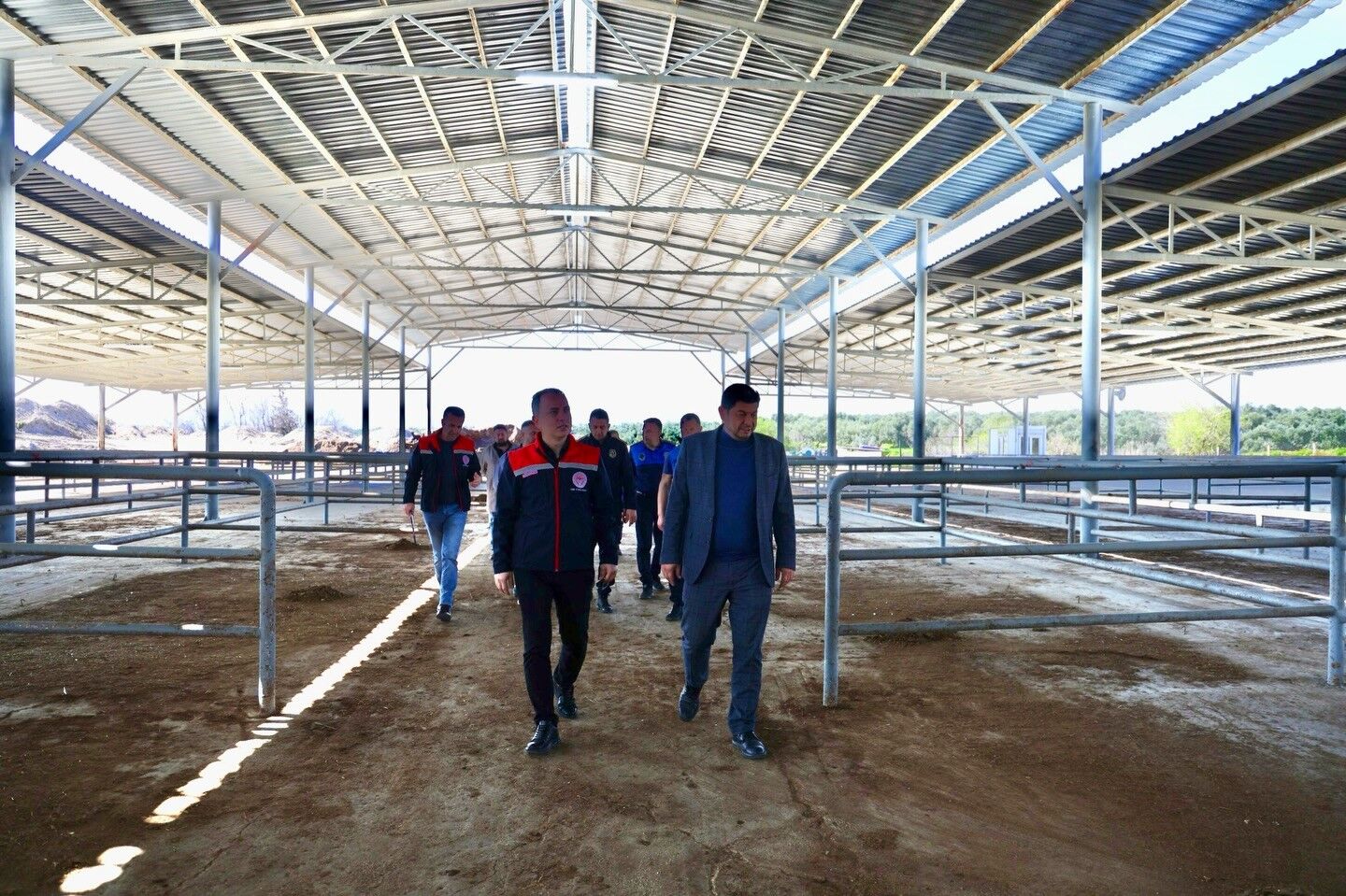 Aydın Çine’deki Hayvan Pazarı Yeniden Açılıyor (2)