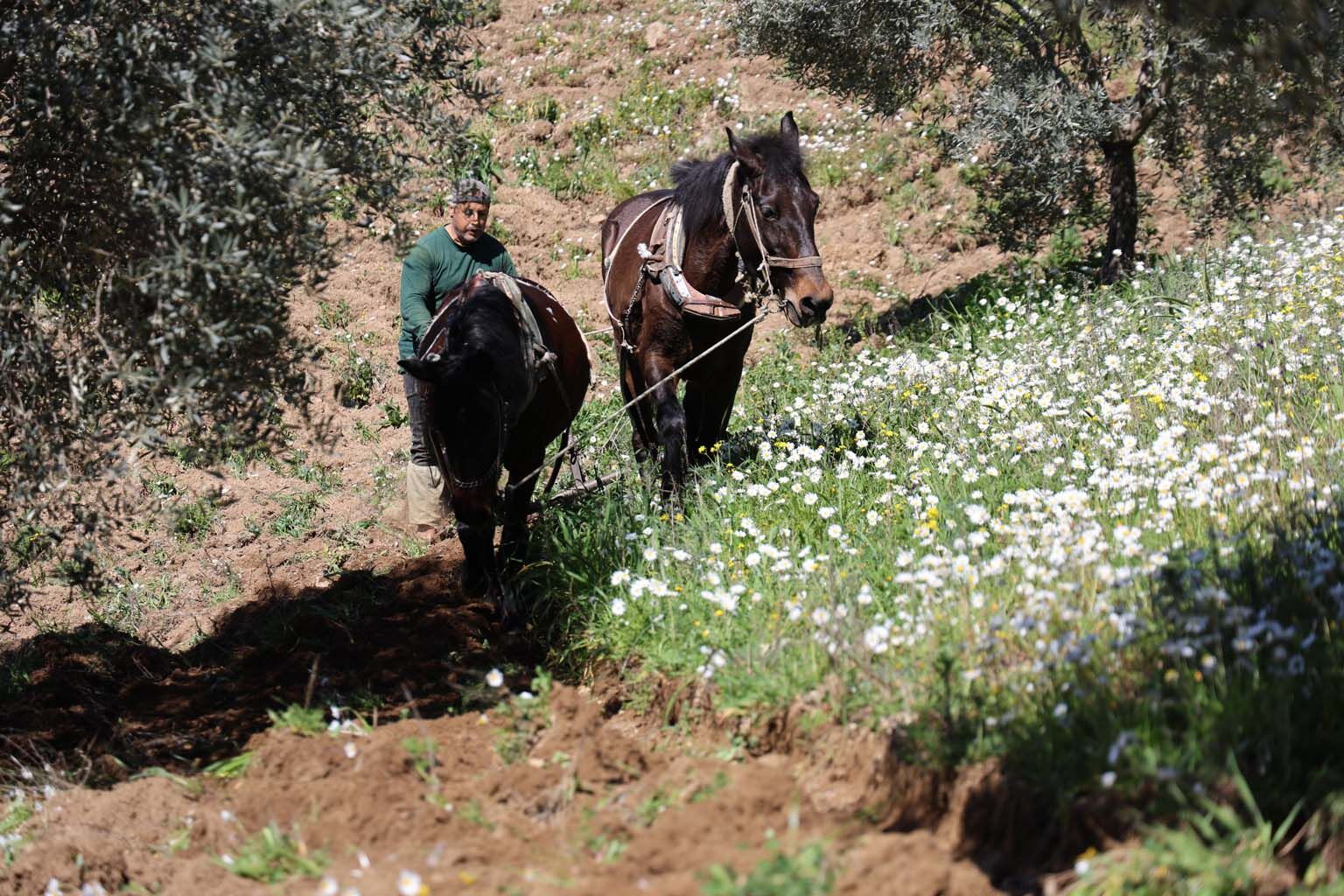 Aydın’da 180 Bin Lira Maaşla Çalışacak Eleman Arıyorlar (3)