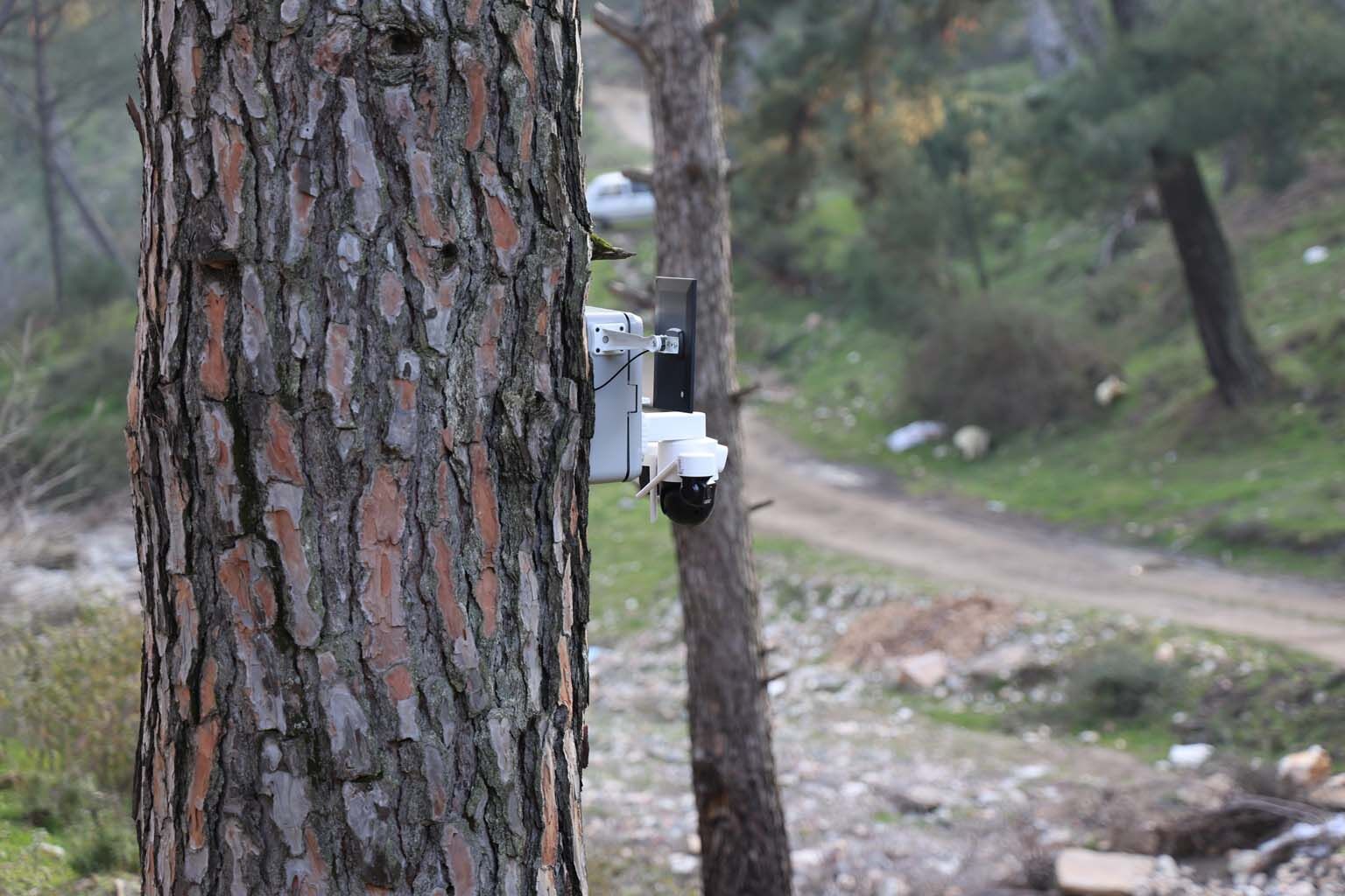Aydın’da Altın Değerindeki Ürüne Kameralı Önlem (1)