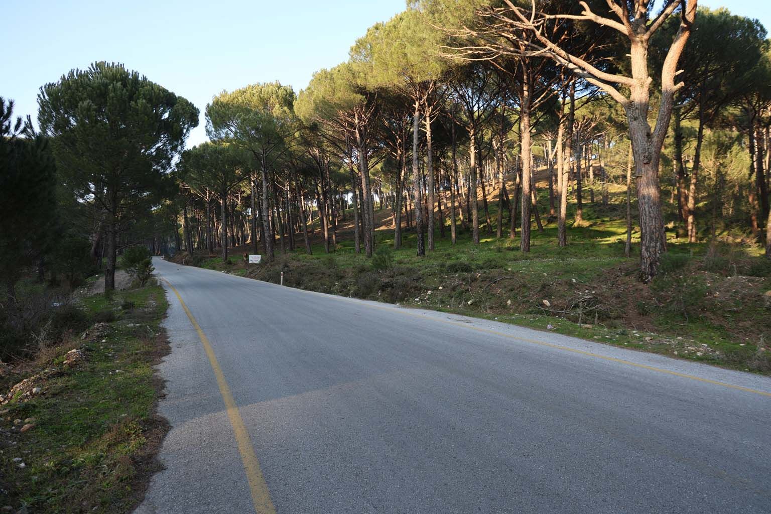 Aydın’da Altın Değerindeki Ürüne Kameralı Önlem (3)