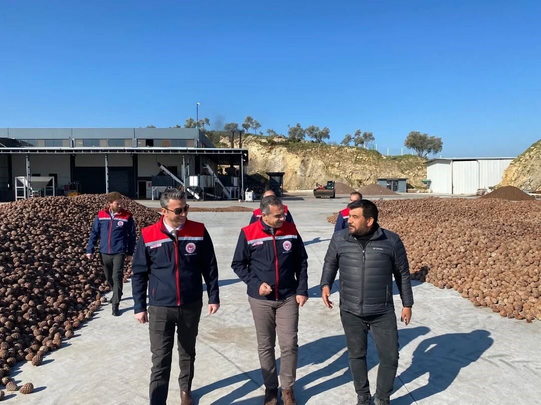 Aydın’da Çam Fıstığı Işleme Tesisi Incelendi (4)