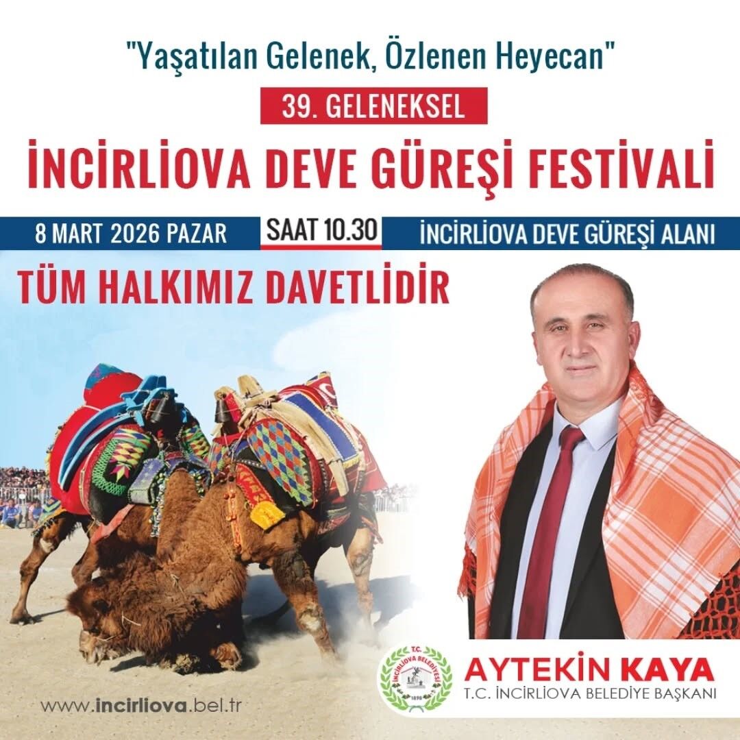 Aydın’da Deve Güreşleri Yeniden Başlıyor.. Tarih Belli Oldu (2)