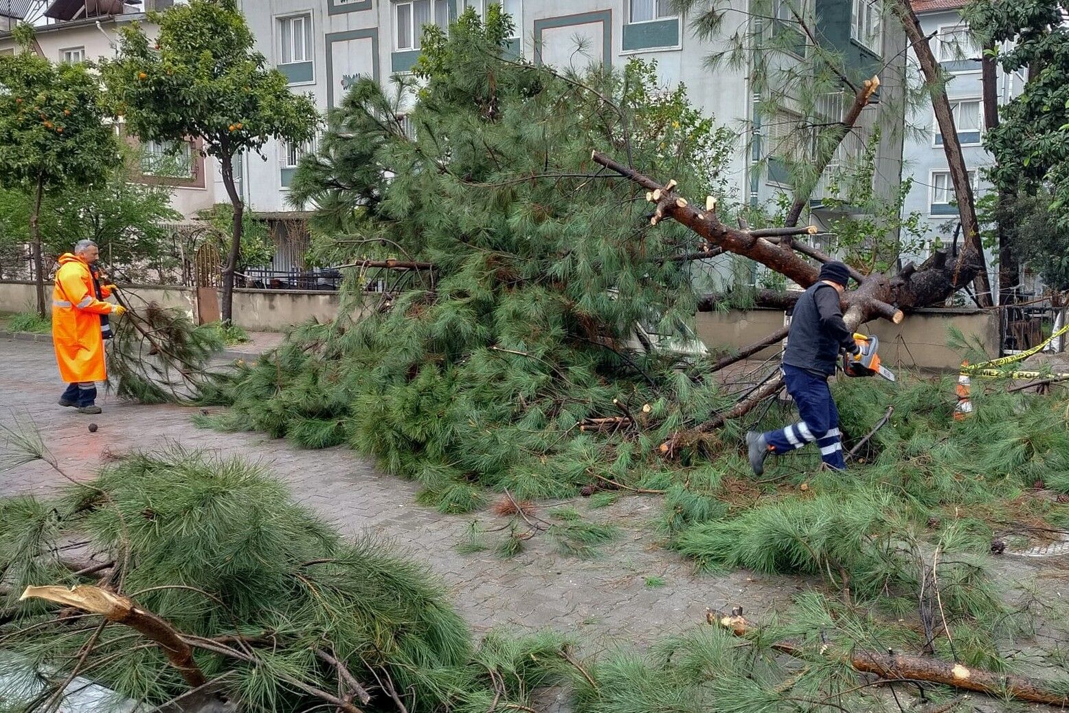 Aydın’da Faciadan Dönüldü (1)-3