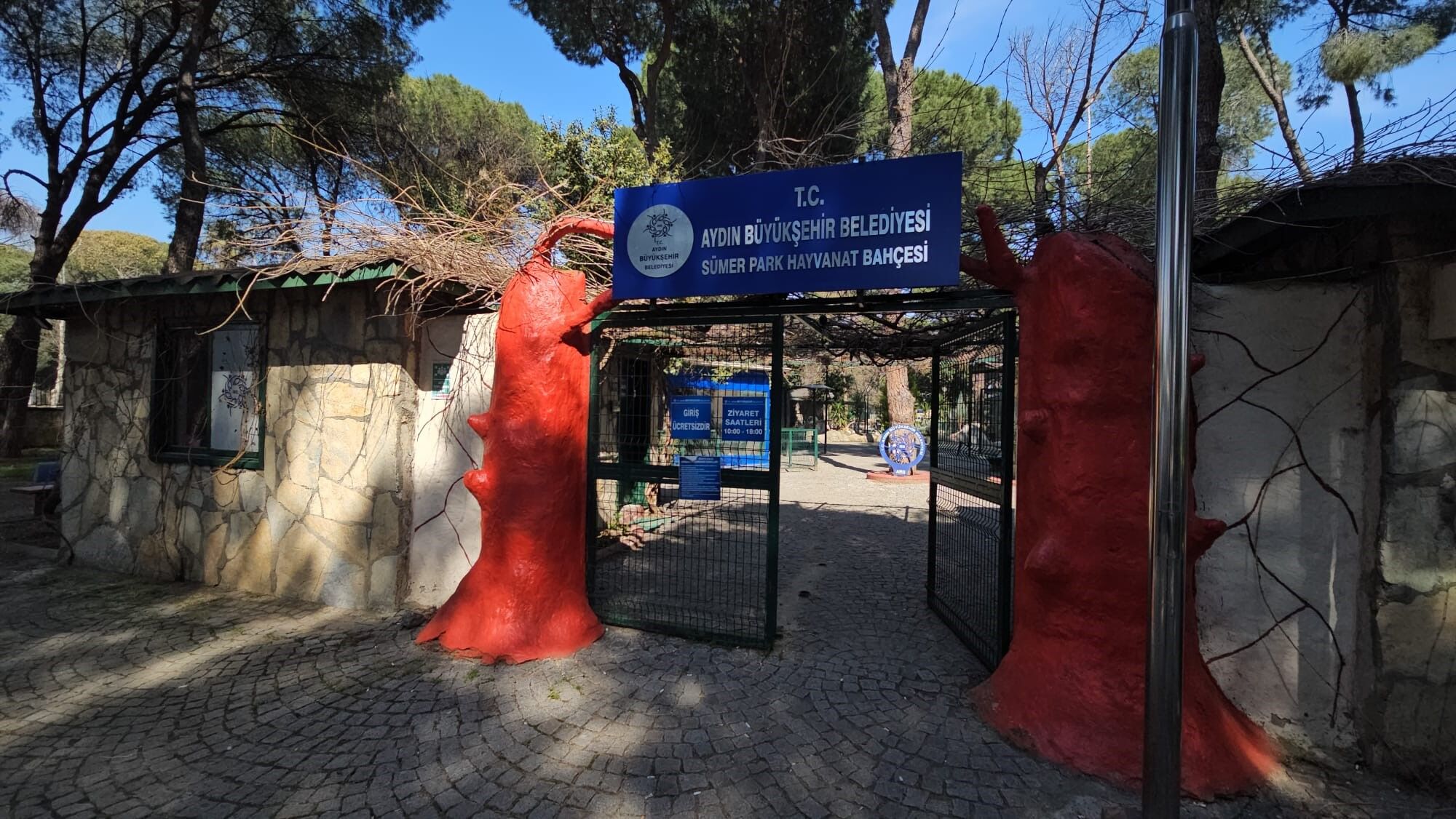 Aydın’da Otobüsün Bagajından Çıkan Tavus Kuşları Hayvanat Bahçesine Teslim Edildi (7)