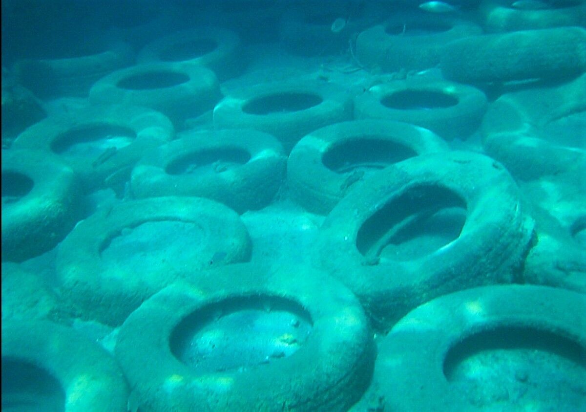 Aydın’da Üçü De Ölü Olarak Bulundu (2)