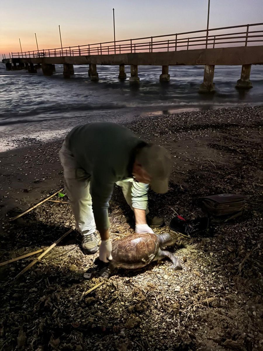 Aydın’da Üçü De Ölü Olarak Bulundu (4)