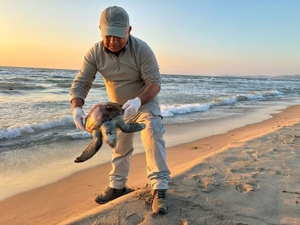 Aydın’da Üçü De Ölü Olarak Bulundu (5)