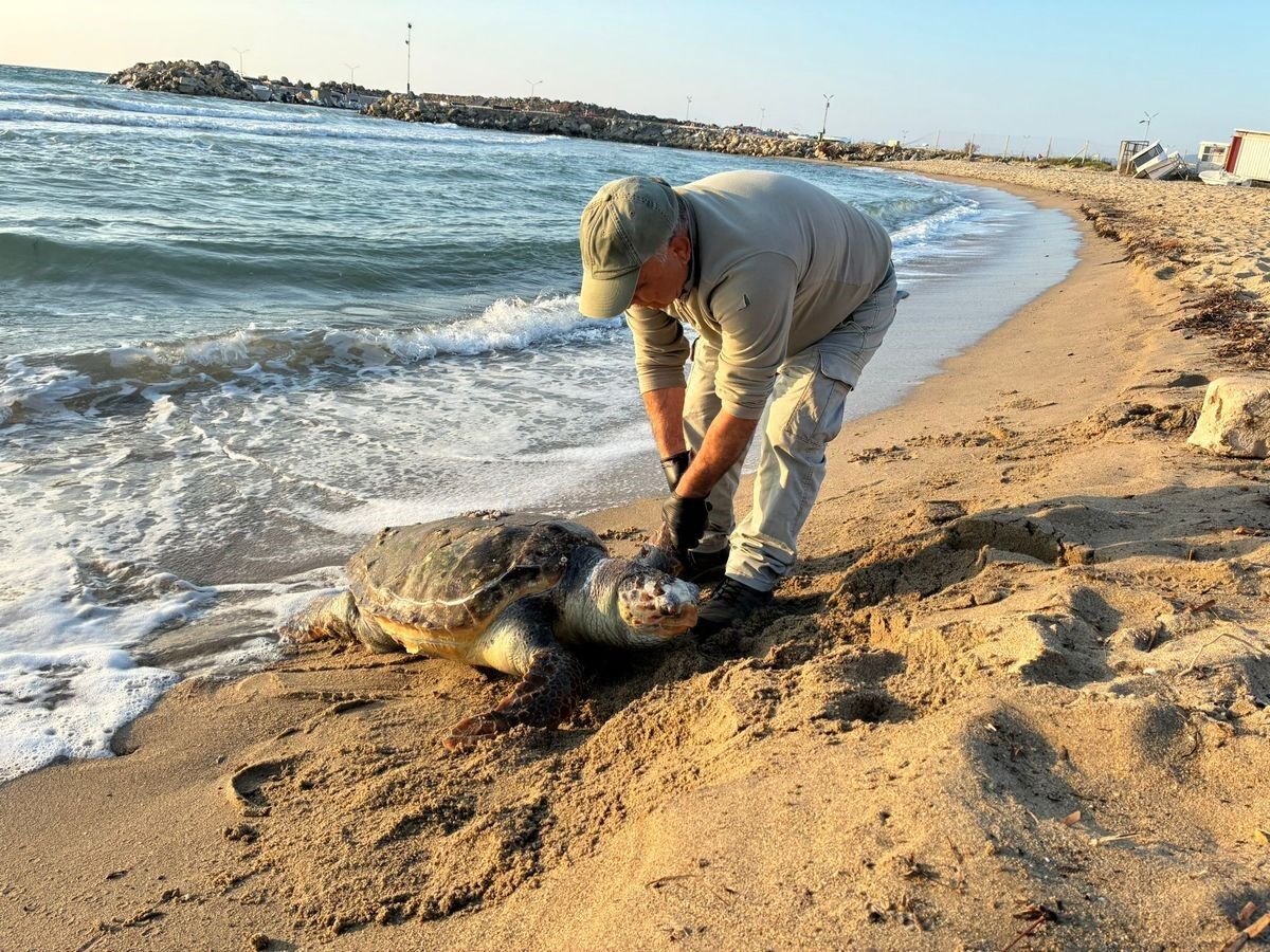 Aydın’da Üçü De Ölü Olarak Bulundu (6)
