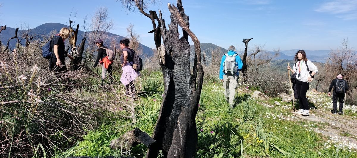 Aydın’daki Yangını Yürüyüş Yapan Vatandaşlar Söndürdü (4)
