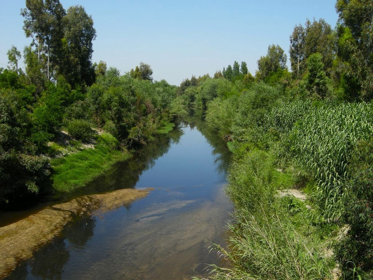 Aydın’ın Içme Suyunu Karşılayacak Sarıçay’da Kirlilik Alarmı (3)