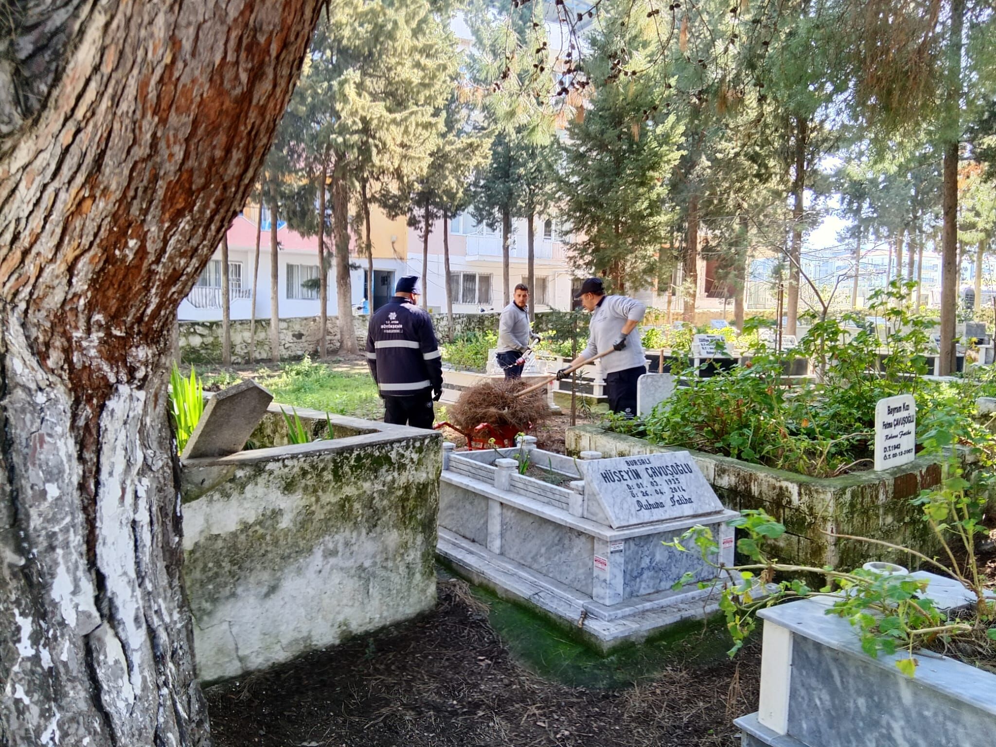 Başkan Çerçioğlu Talimat Verdi, Aydın’da Mezarlıklar Bayrama Hazırlandı (14)