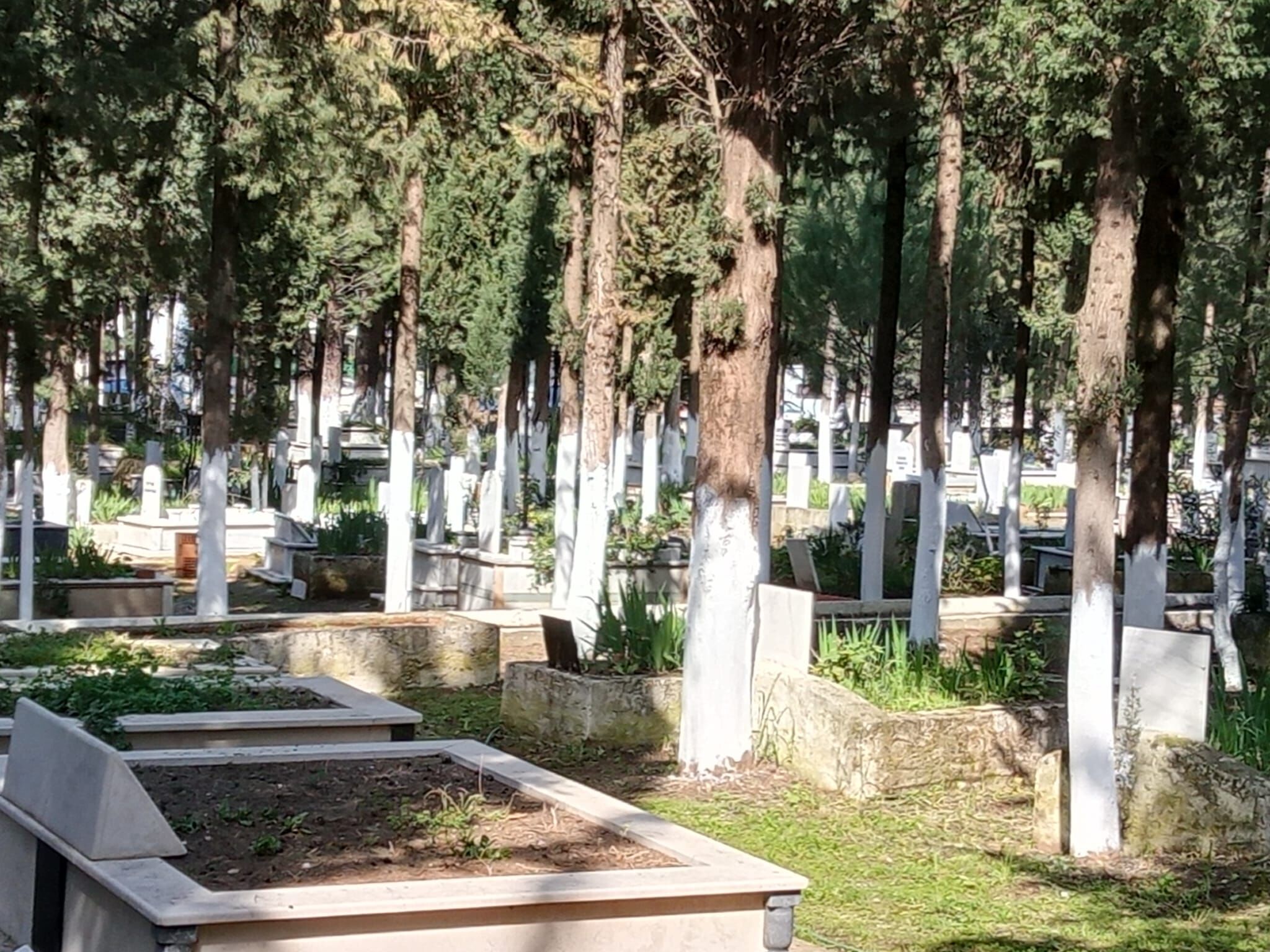 Başkan Çerçioğlu Talimat Verdi, Aydın’da Mezarlıklar Bayrama Hazırlandı (3)