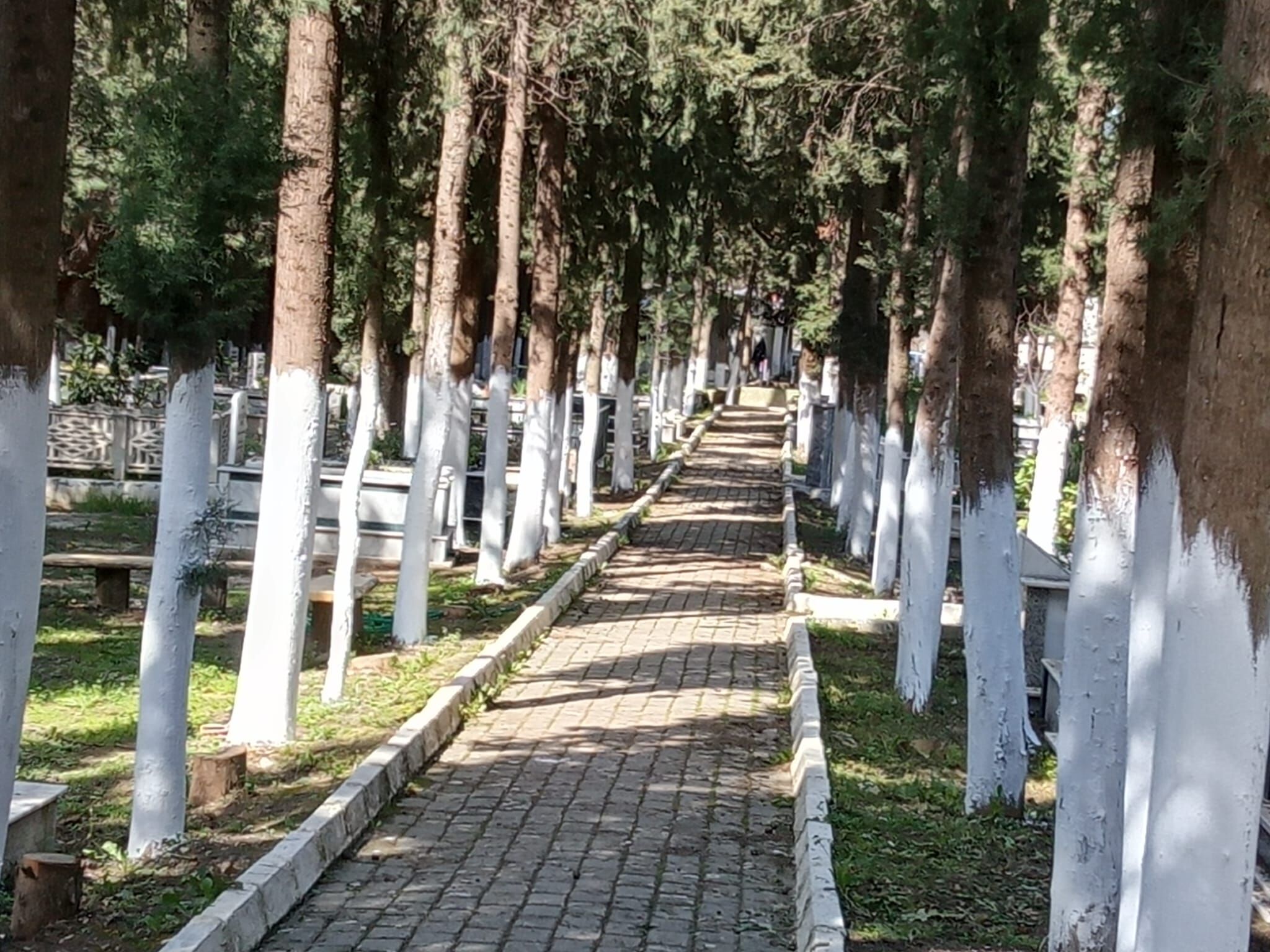 Başkan Çerçioğlu Talimat Verdi, Aydın’da Mezarlıklar Bayrama Hazırlandı (9)