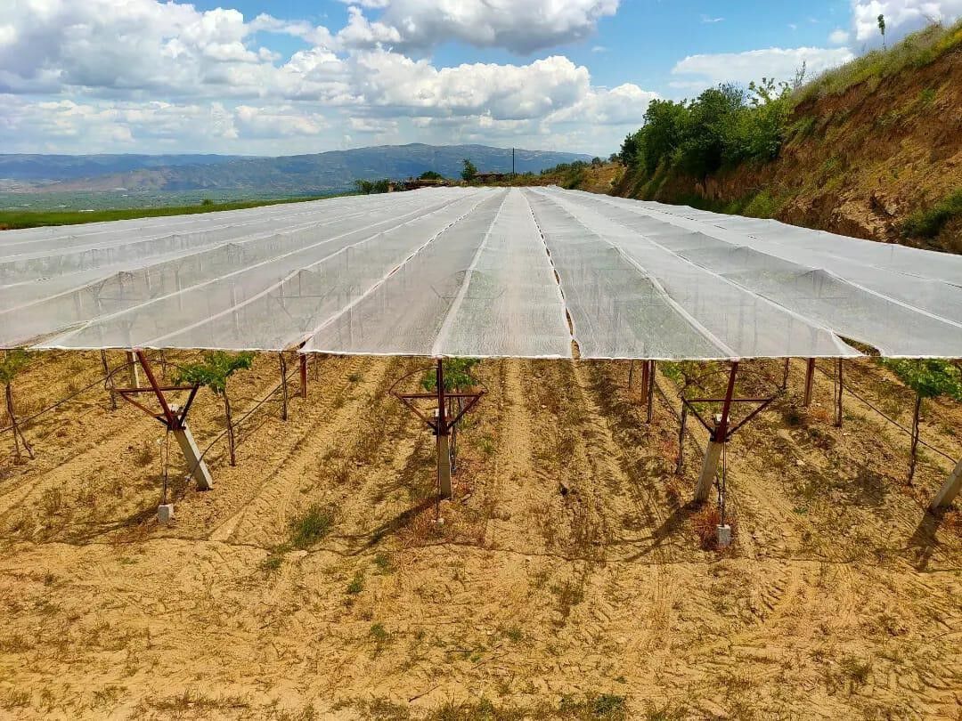 Dolu Korkusuna Fileli Önlem (5)