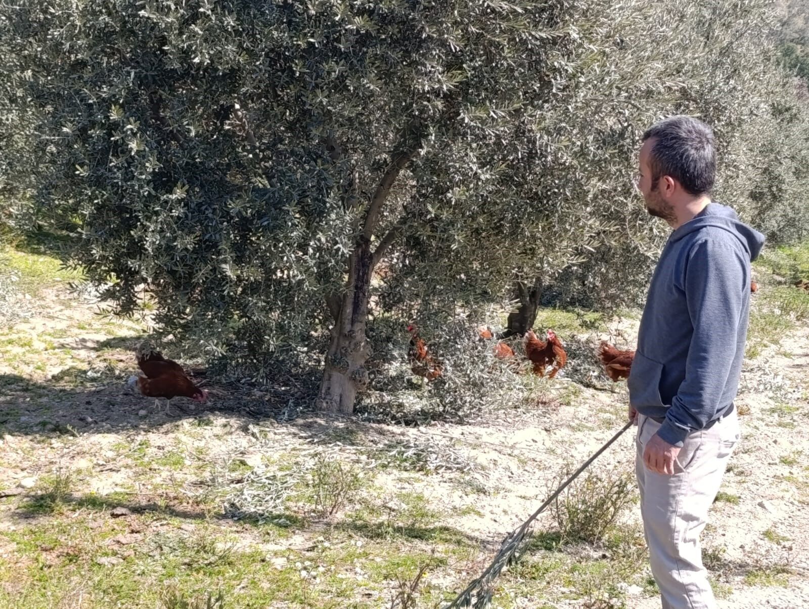 Ev Kiraları Yükselince Köye Dönüp Tavuk Çiftliği Kurdu (7)
