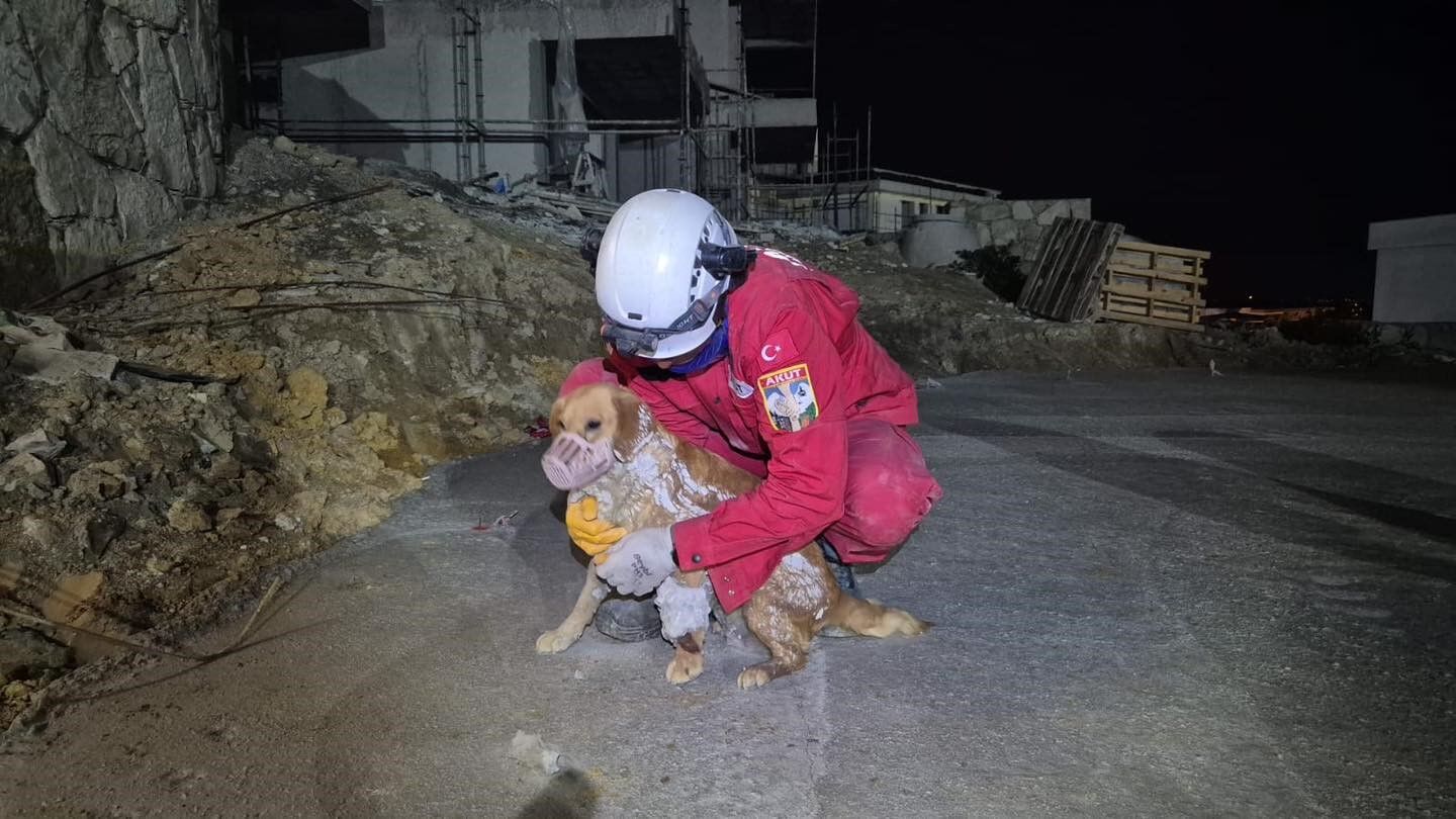 Kuşadası’nda Betona Sıkışan Köpek Kurtarıldı (3)