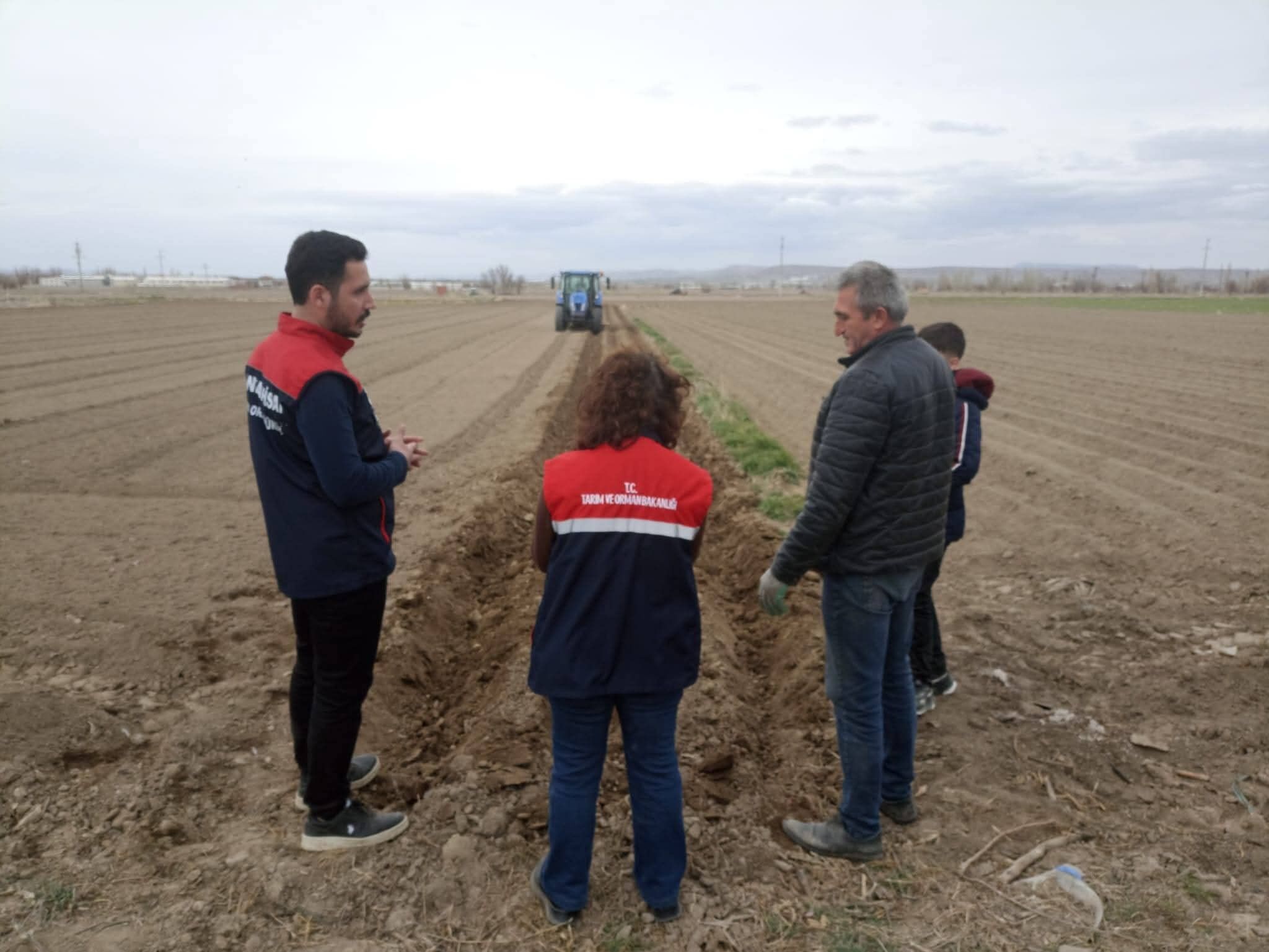 Patates Ekimi Başladı (2)