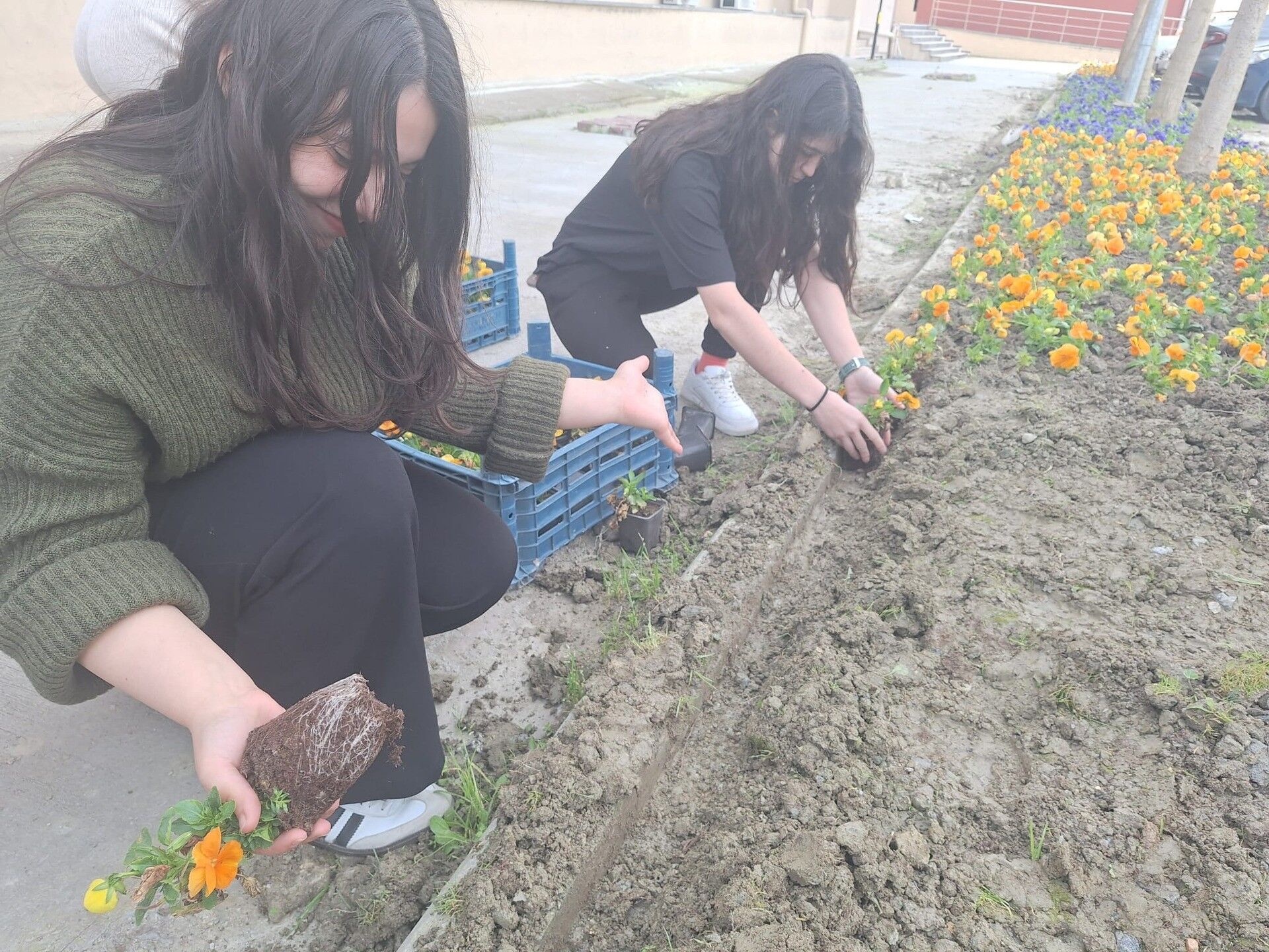 Söke’de Yurt Bahçesi Gönüllü Öğrencilerle Bahara Hazırlandı (1)
