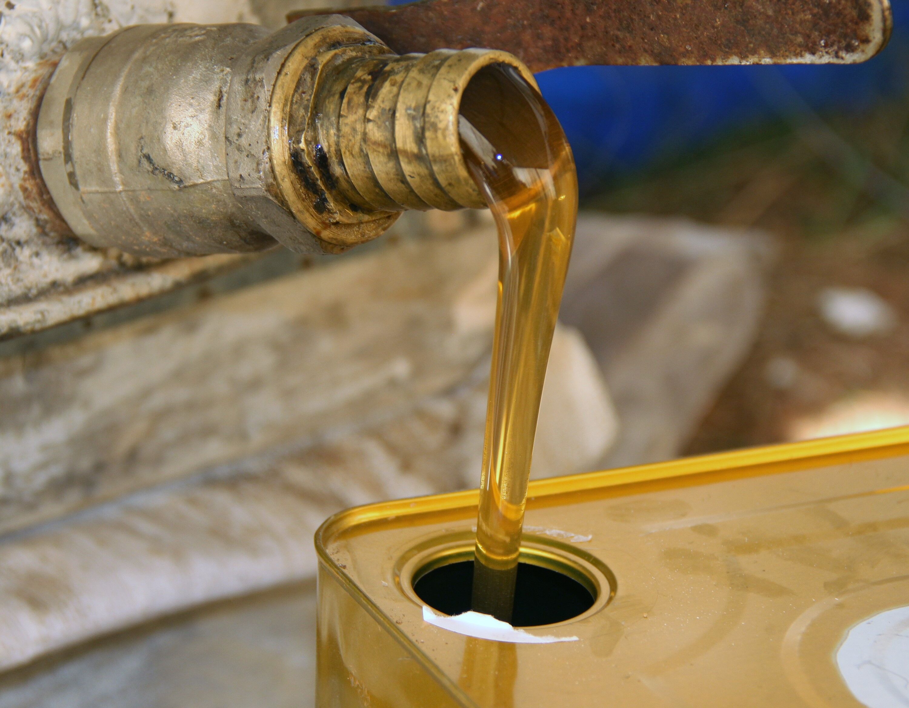 Türkiye, 100 Bin Tona Yaklaşan Üretimiyle Dünyanın En Büyük Ikinci Bal Üreticisi Konumunda Bulunurken, Çam Balında Ise Yüzde 90’Lık Payla Dünya Üretimini (3)