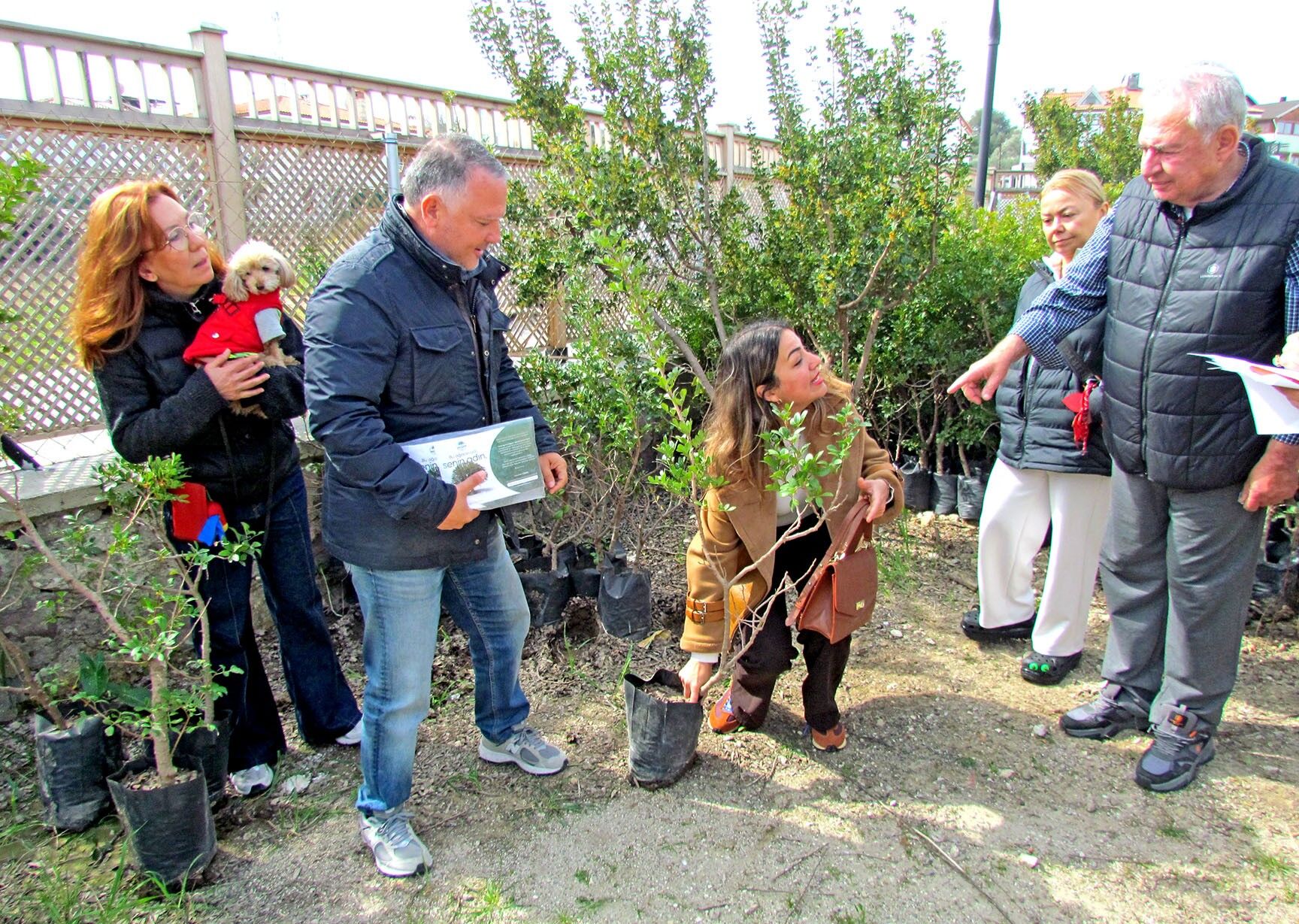 Vatandaşlara Sakız Ağacı Dağıtılıyor (3)