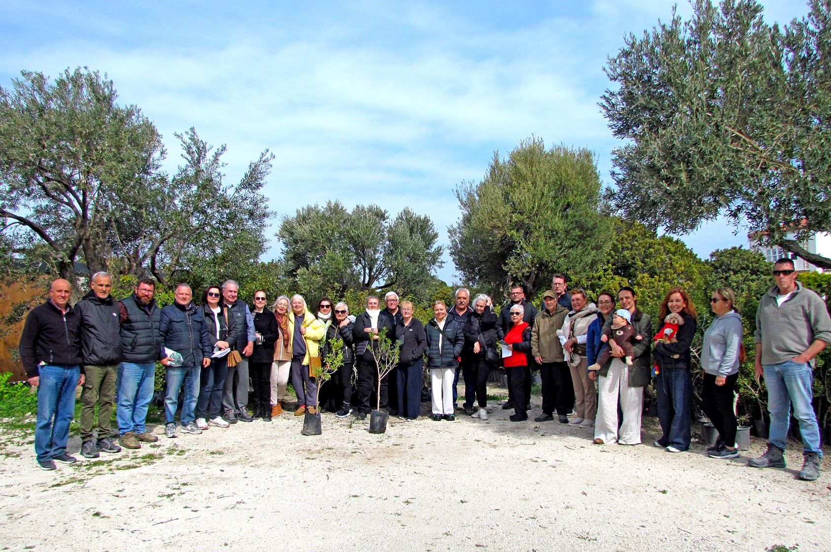 Vatandaşlara Sakız Ağacı Dağıtılıyor (4)