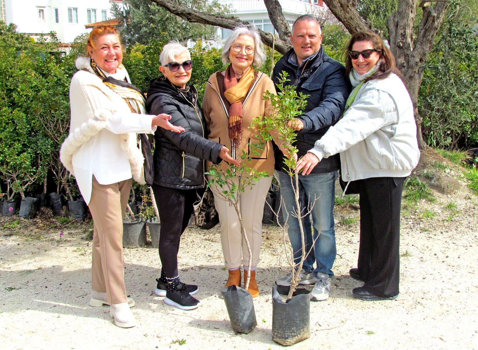 Vatandaşlara Sakız Ağacı Dağıtılıyor (5)